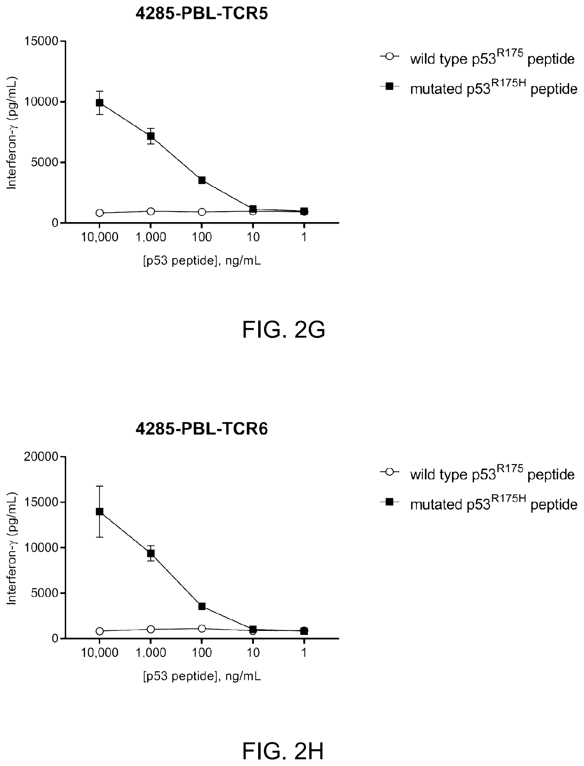 Patent US12479902 Figure 9 – T cell receptors recognizing R175H or Y220C mutation in P53