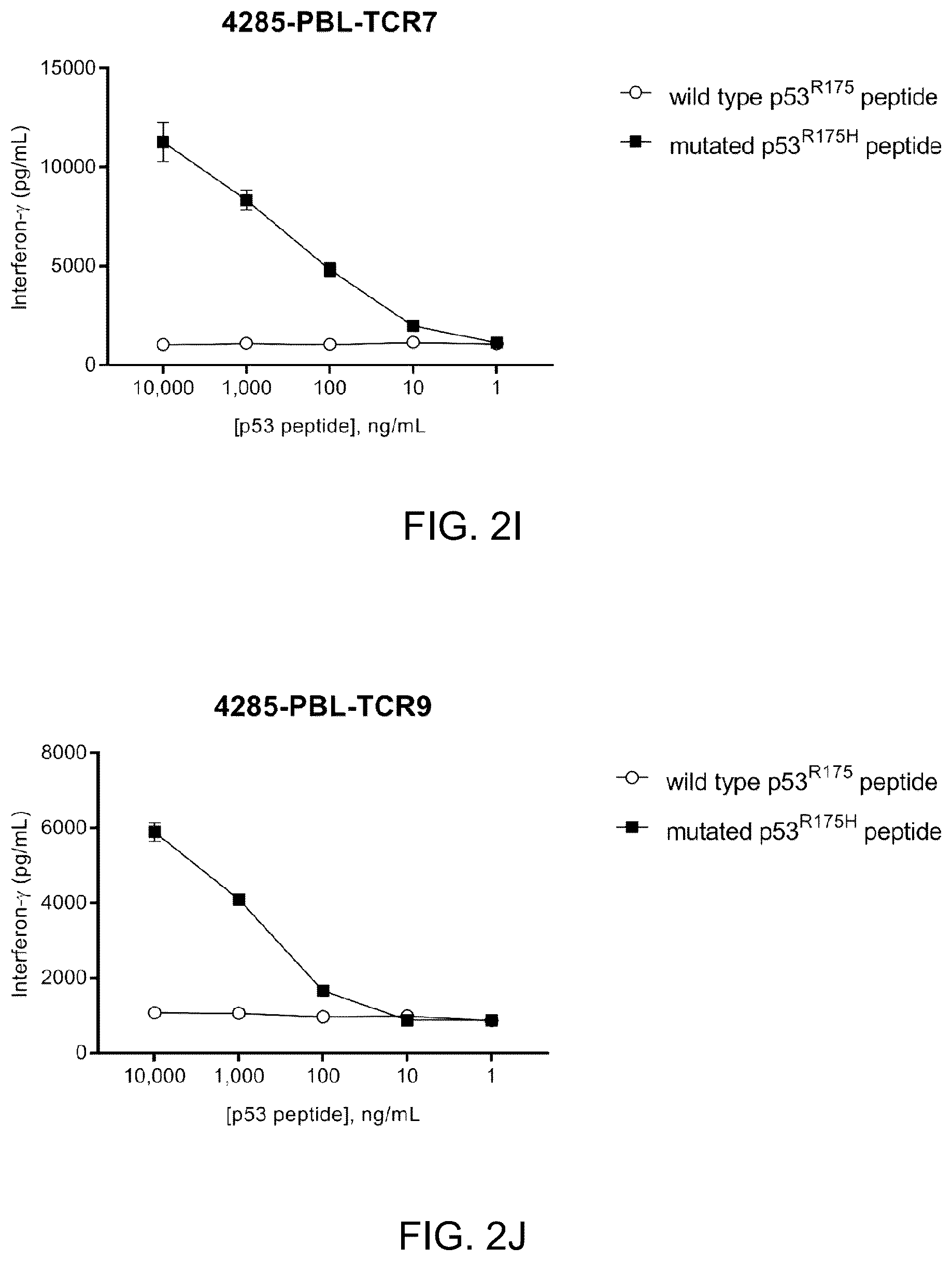 Patent US12479902 Figure 10 – T cell receptors recognizing R175H or Y220C mutation in P53