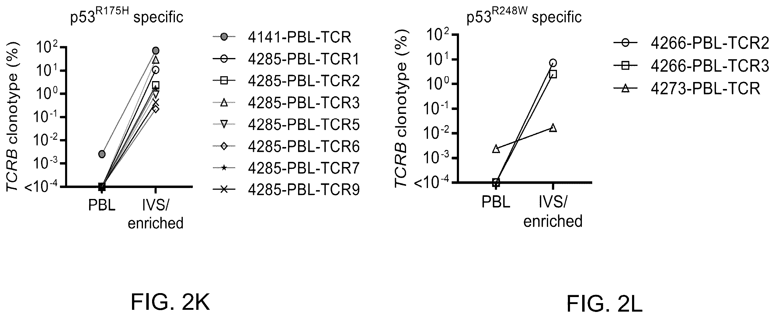 Patent US12479902 Figure 11 – T cell receptors recognizing R175H or Y220C mutation in P53