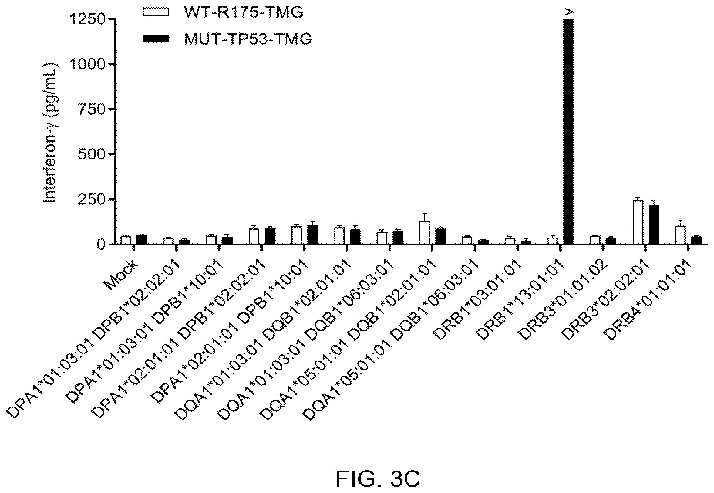 Patent US12479902 Figure 13 – T cell receptors recognizing R175H or Y220C mutation in P53