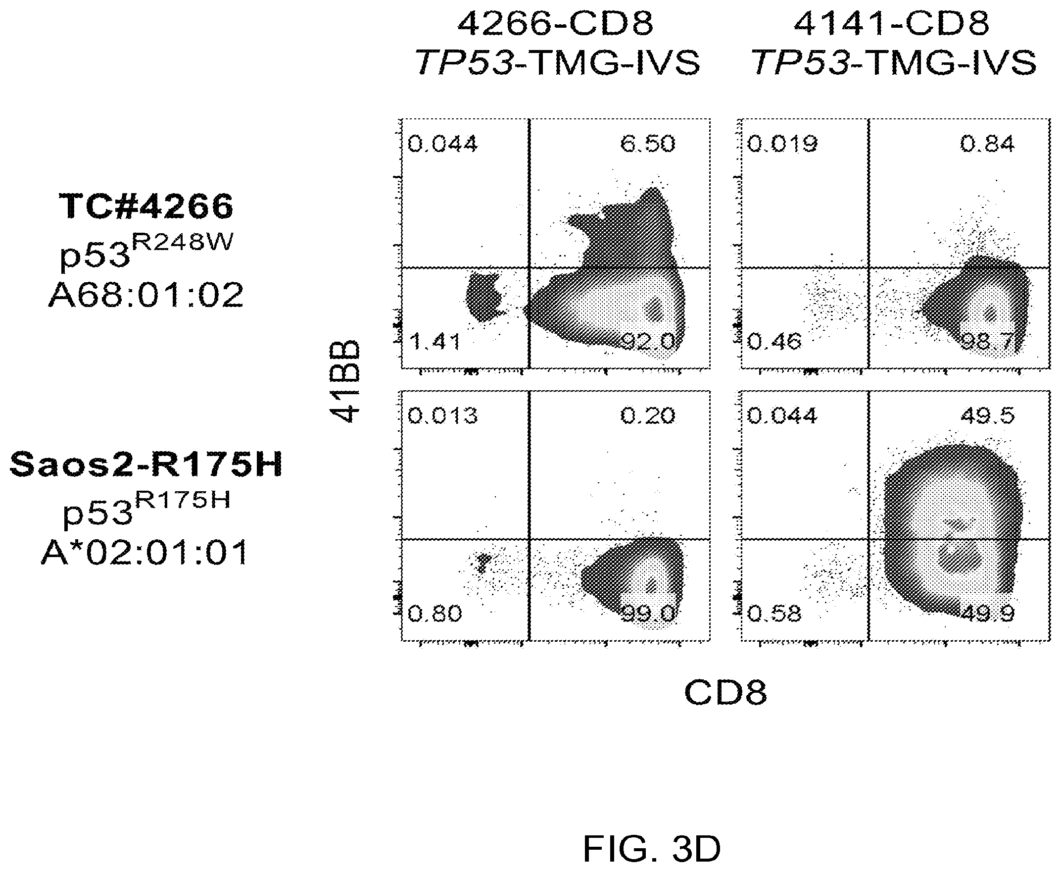 Patent US12479902 Figure 14 – T cell receptors recognizing R175H or Y220C mutation in P53
