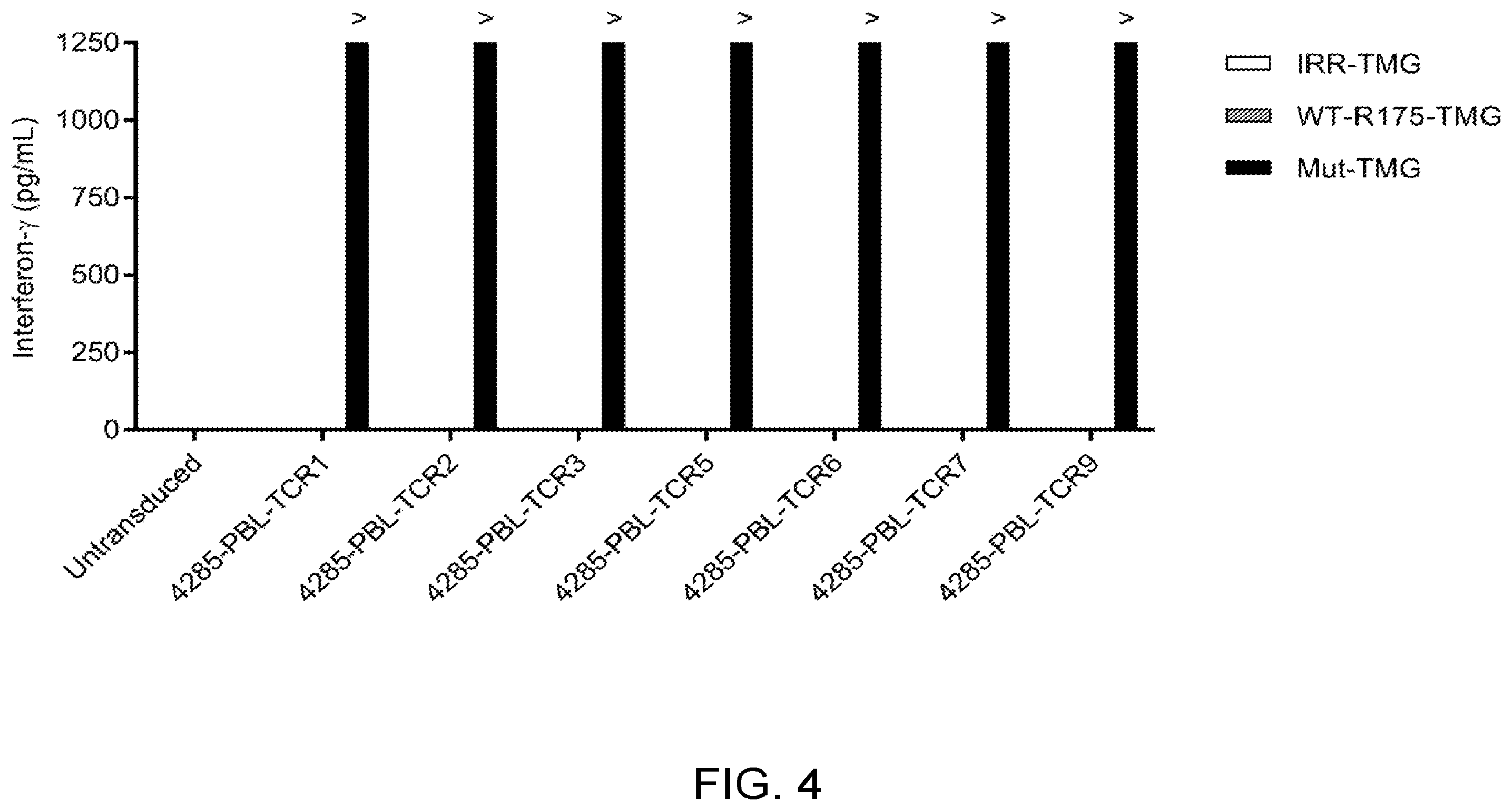 Patent US12479902 Figure 15 – T cell receptors recognizing R175H or Y220C mutation in P53