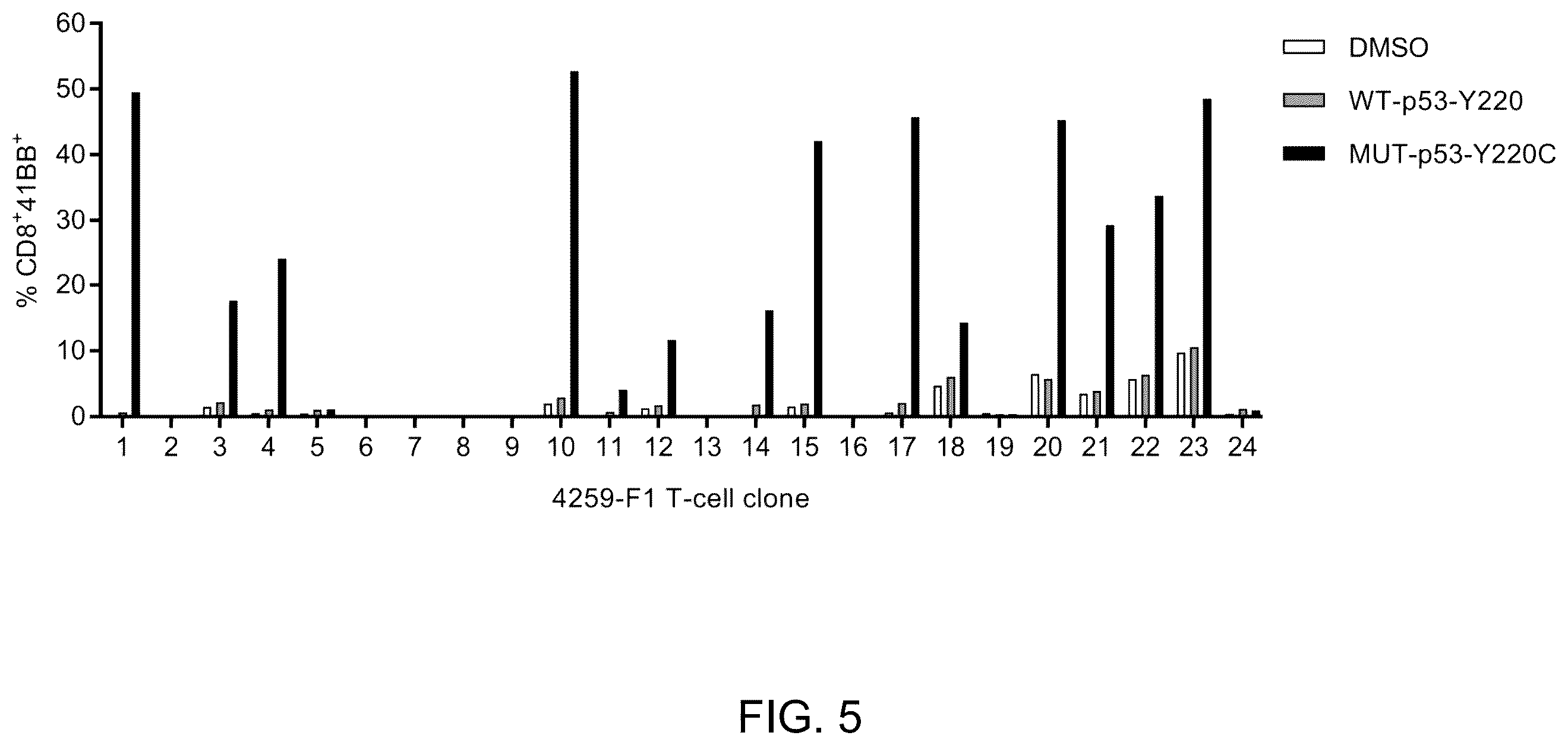 Patent US12479902 Figure 16 – T cell receptors recognizing R175H or Y220C mutation in P53