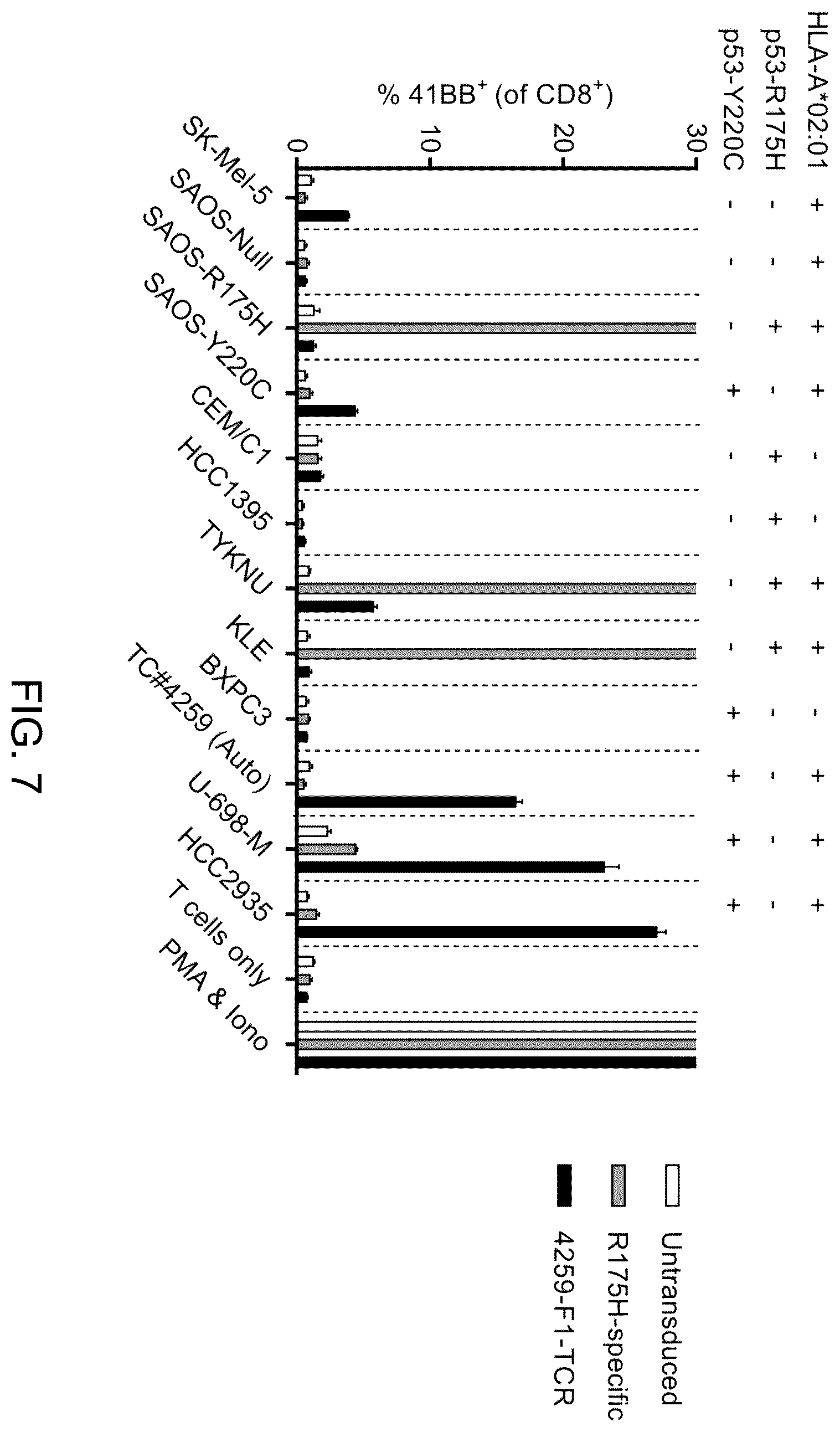 Patent US12479902 Figure 18 – T cell receptors recognizing R175H or Y220C mutation in P53