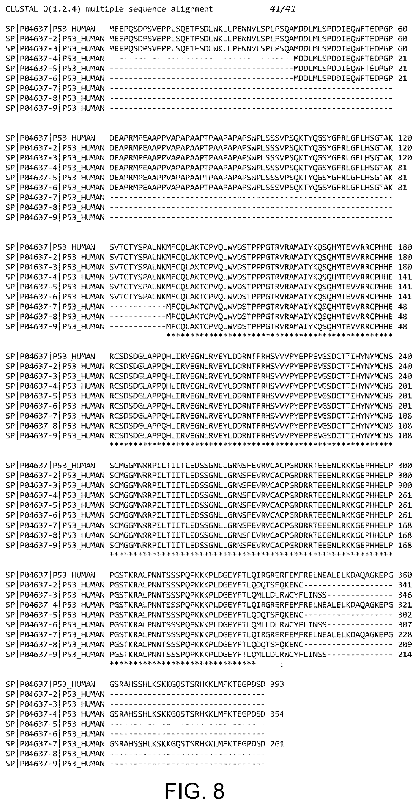 Patent US12479902 Figure 19 – T cell receptors recognizing R175H or Y220C mutation in P53