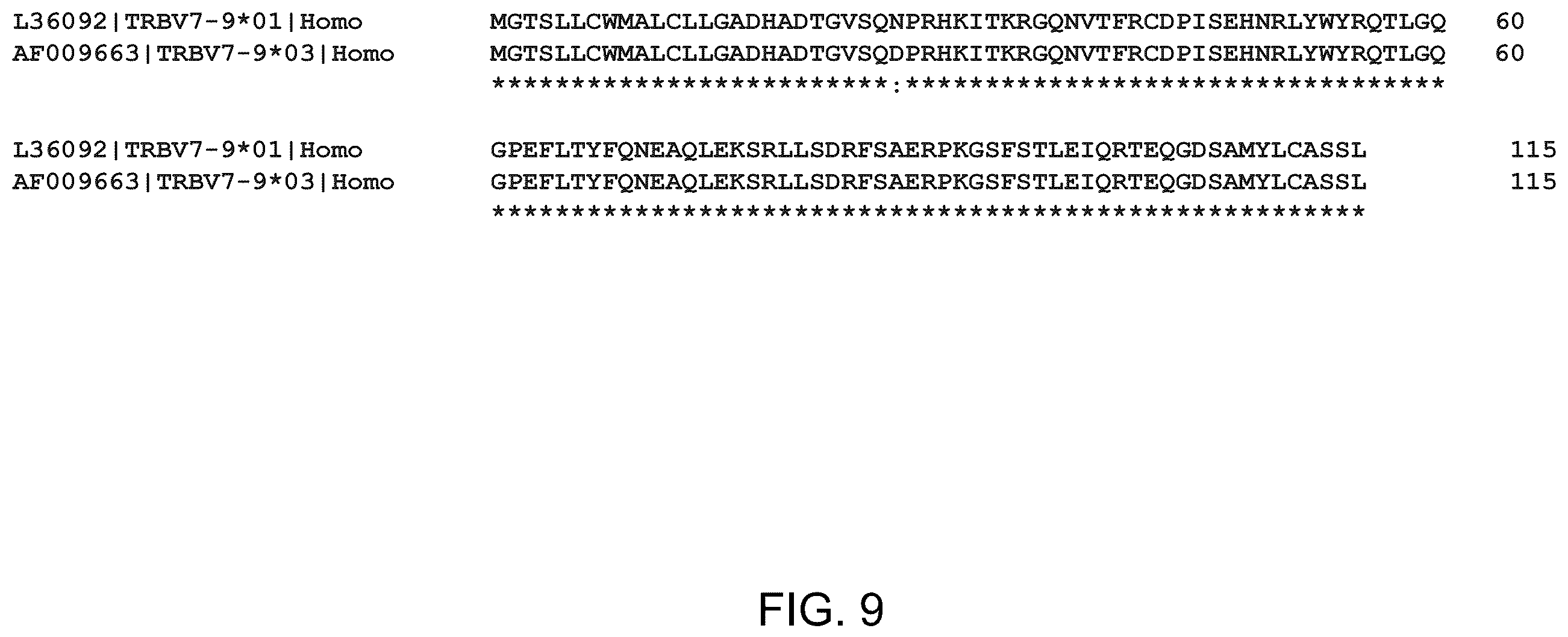 Patent US12479902 Figure 20 – T cell receptors recognizing R175H or Y220C mutation in P53