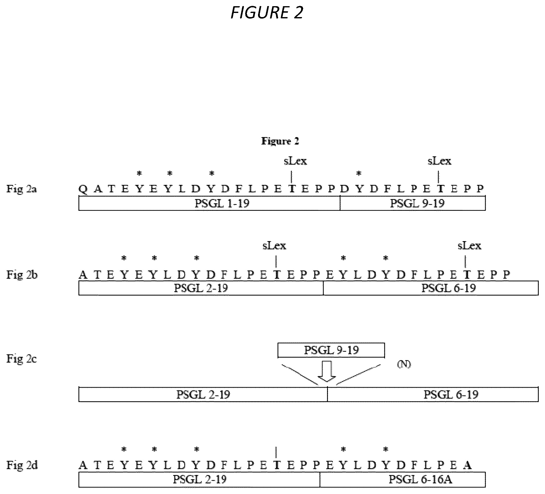 Patent US12479904 Figure 2 – Methods of treating cytokine release syndrome by administering a molecule comprising a soluble tandem selectin glycoprotein ligand