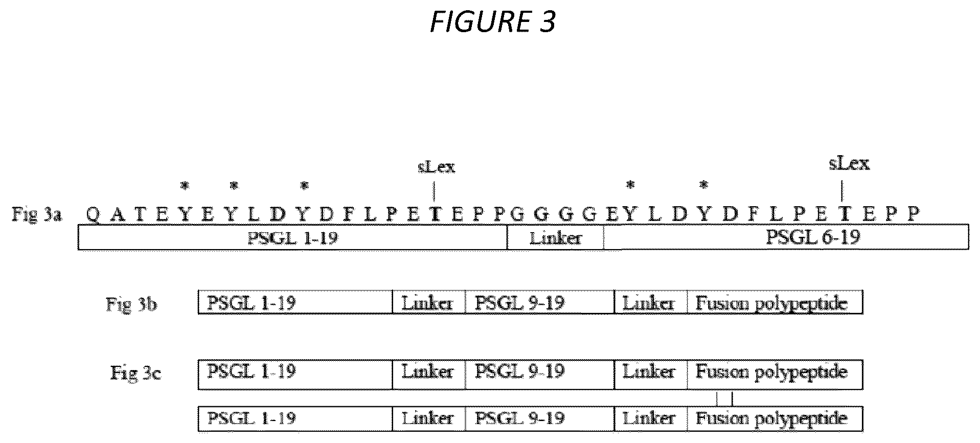 Patent US12479904 Figure 3 – Methods of treating cytokine release syndrome by administering a molecule comprising a soluble tandem selectin glycoprotein ligand