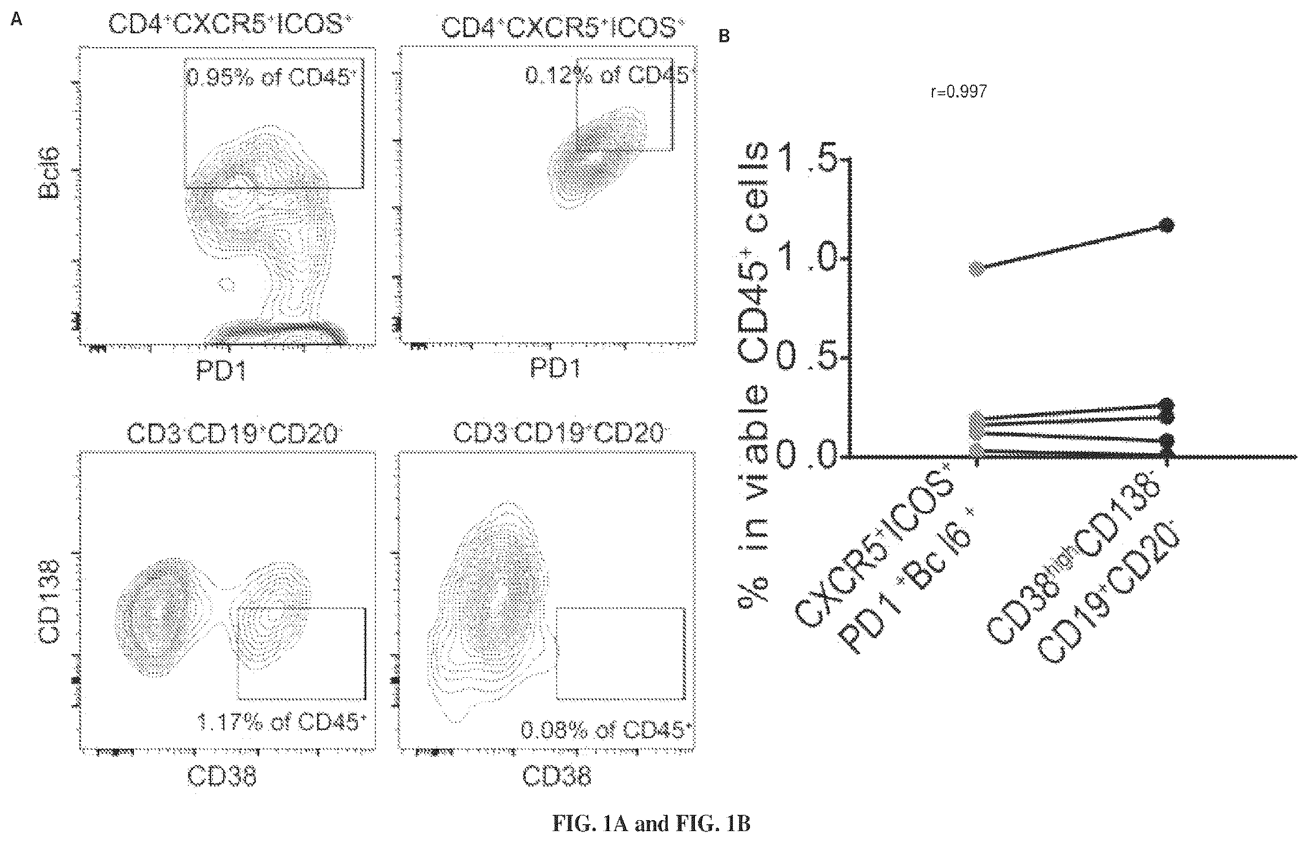 Patent US12479908 — Antibodies against programmed cell death protein 1 (PD1) and uses thereof — Figure 1