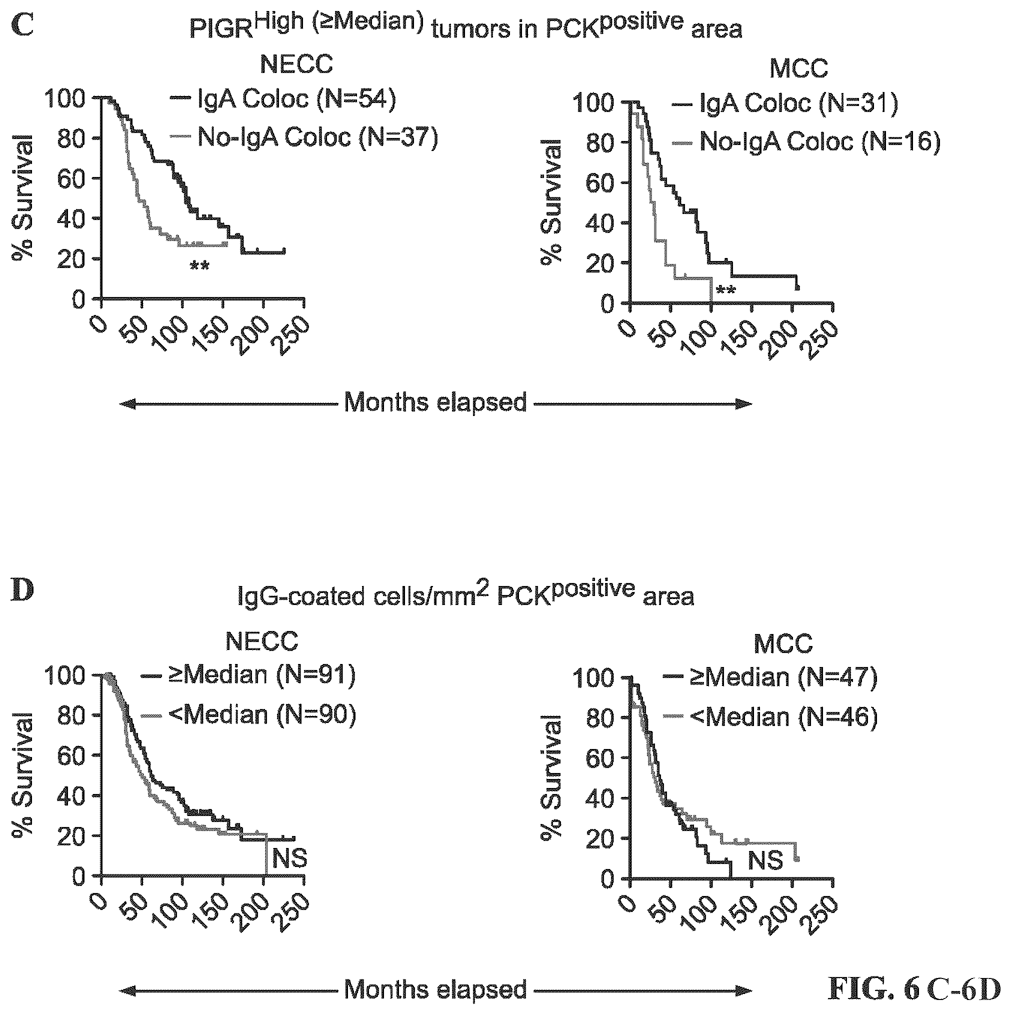 Patent US12479908 Figure 7 – Antibodies against programmed cell death protein 1 (PD1) and uses thereof