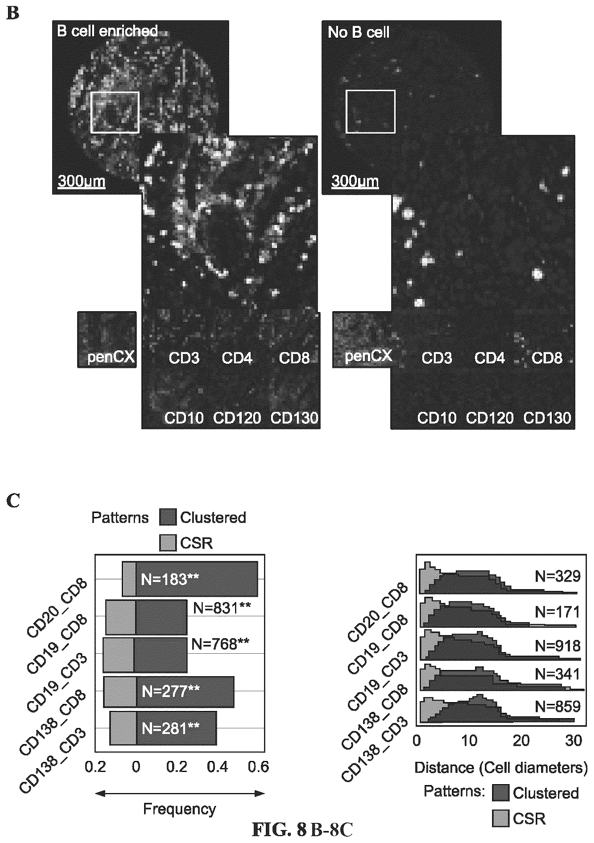 Patent US12479908 Figure 10 – Antibodies against programmed cell death protein 1 (PD1) and uses thereof