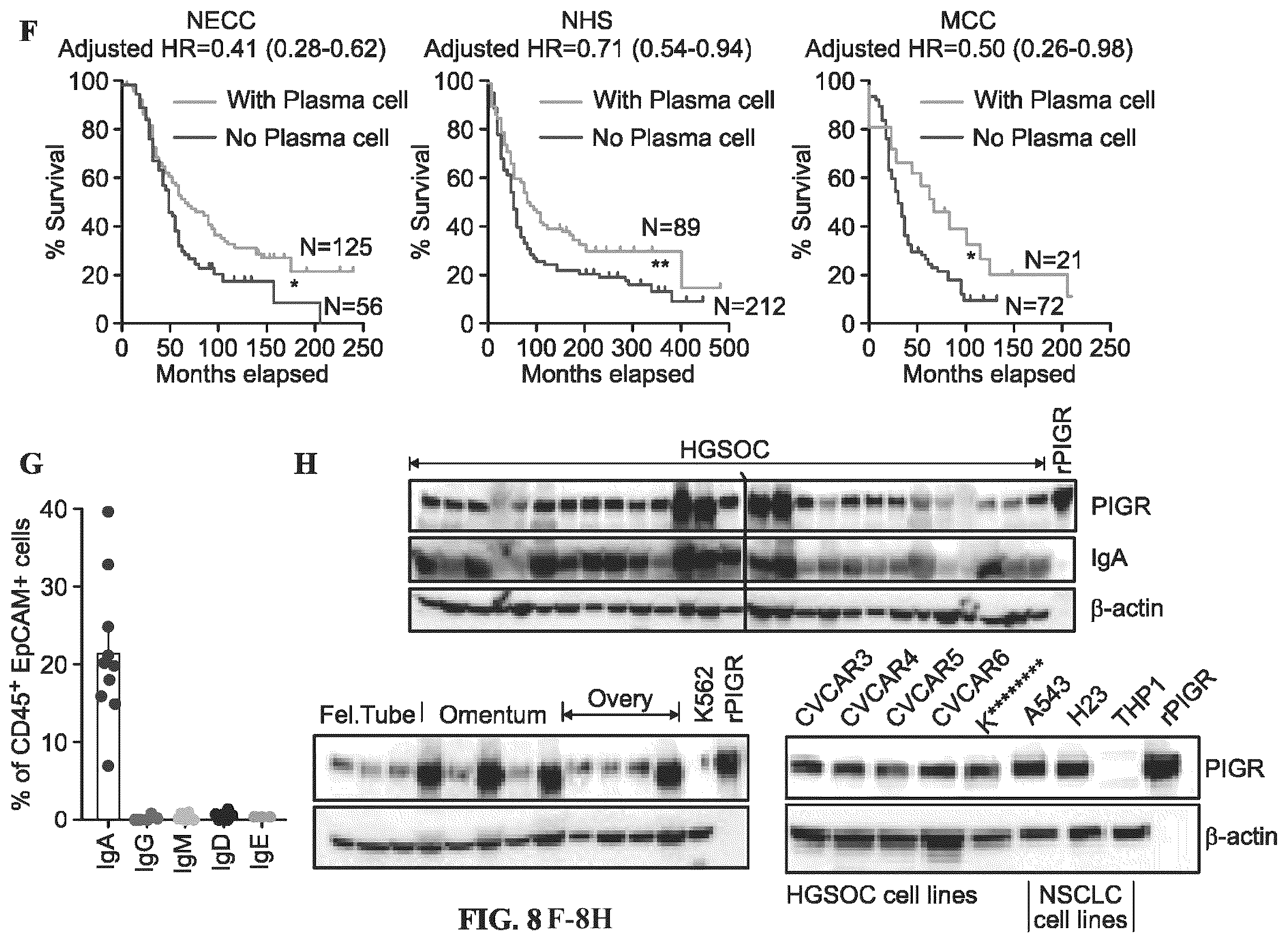 Patent US12479908 Figure 13 – Antibodies against programmed cell death protein 1 (PD1) and uses thereof
