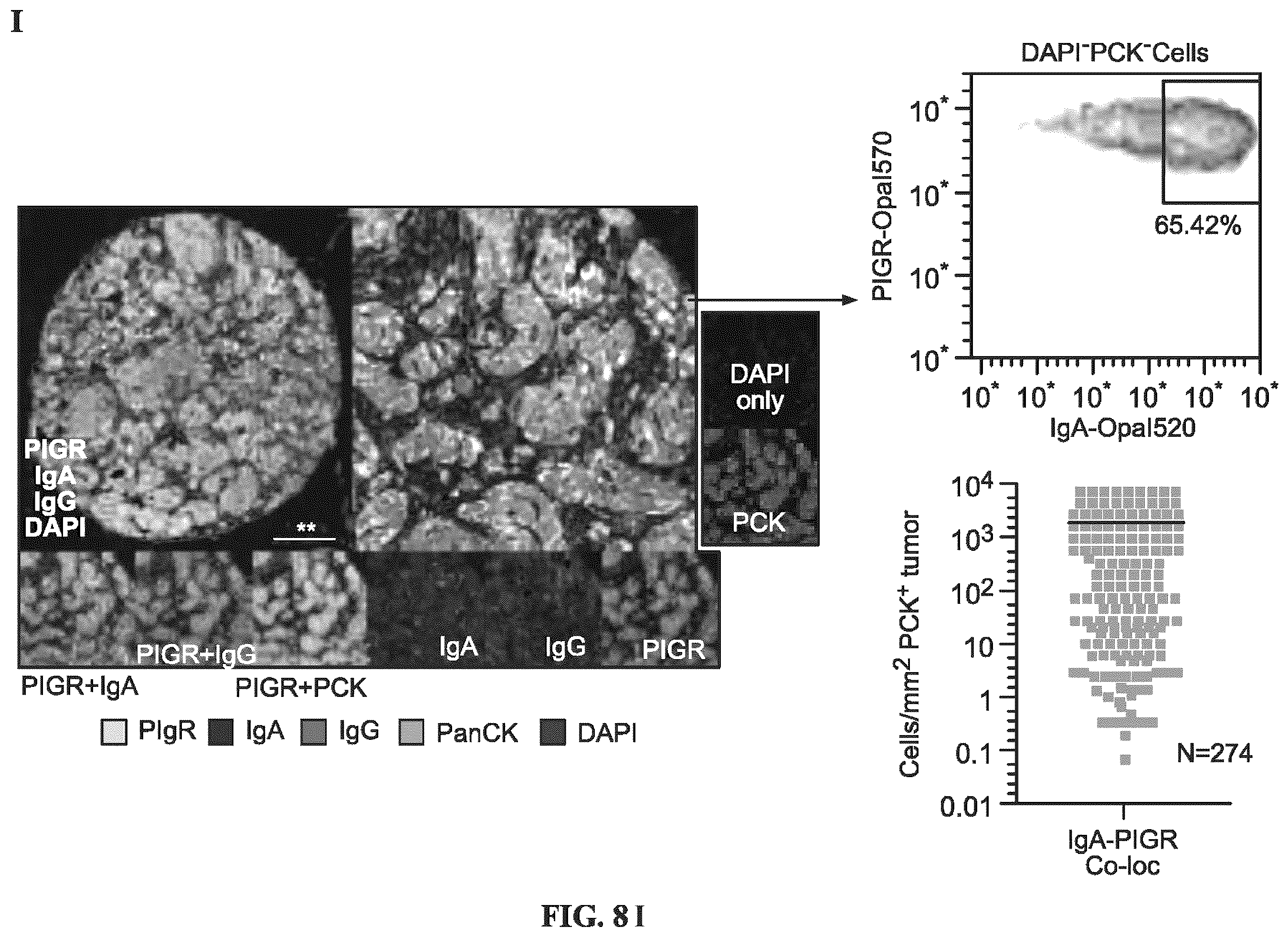 Patent US12479908 Figure 14 – Antibodies against programmed cell death protein 1 (PD1) and uses thereof
