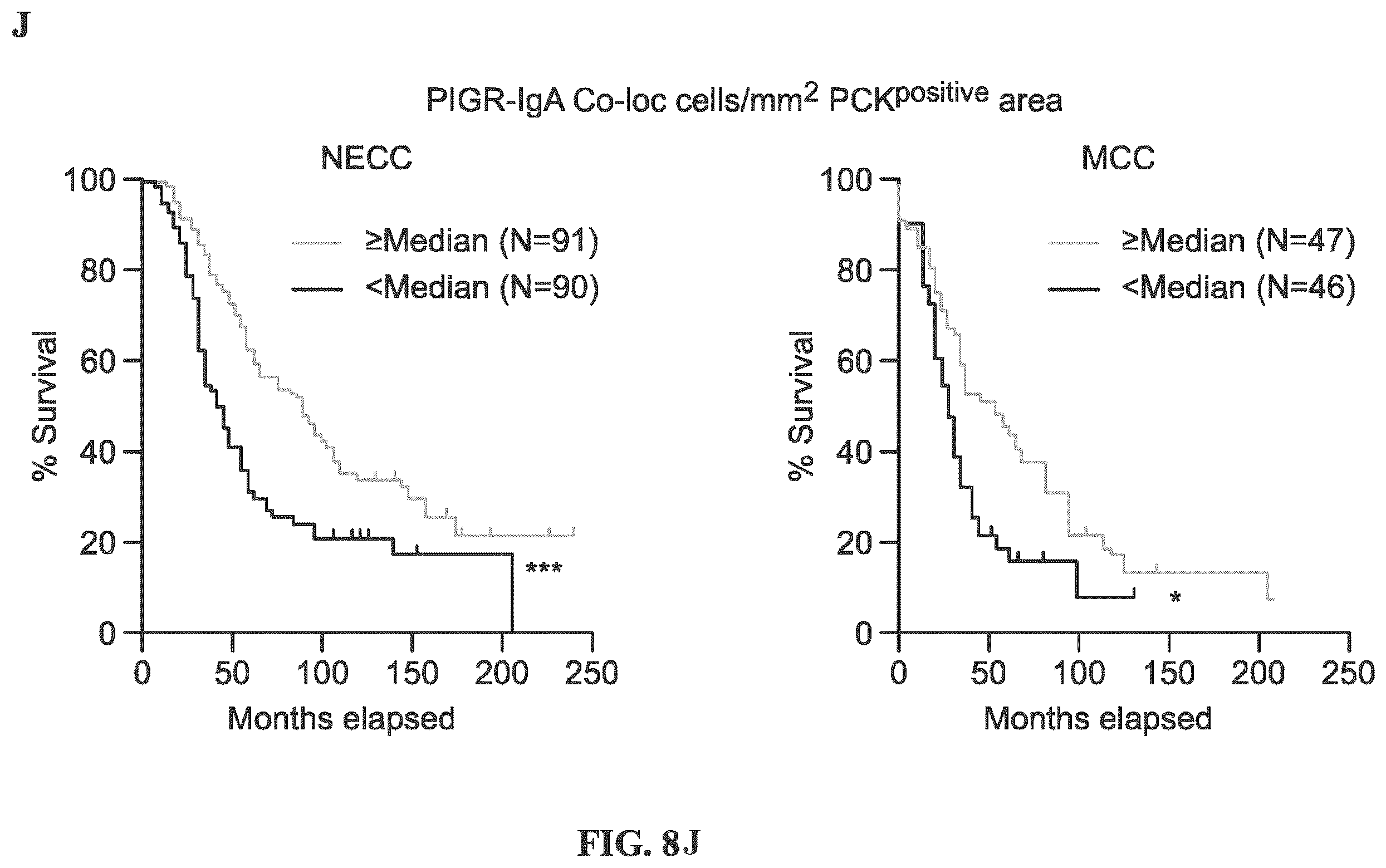 Patent US12479908 Figure 15 – Antibodies against programmed cell death protein 1 (PD1) and uses thereof