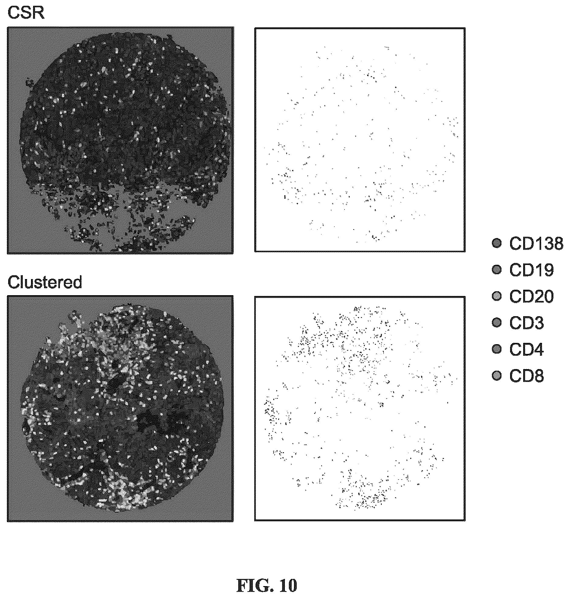 Patent US12479908 Figure 20 – Antibodies against programmed cell death protein 1 (PD1) and uses thereof
