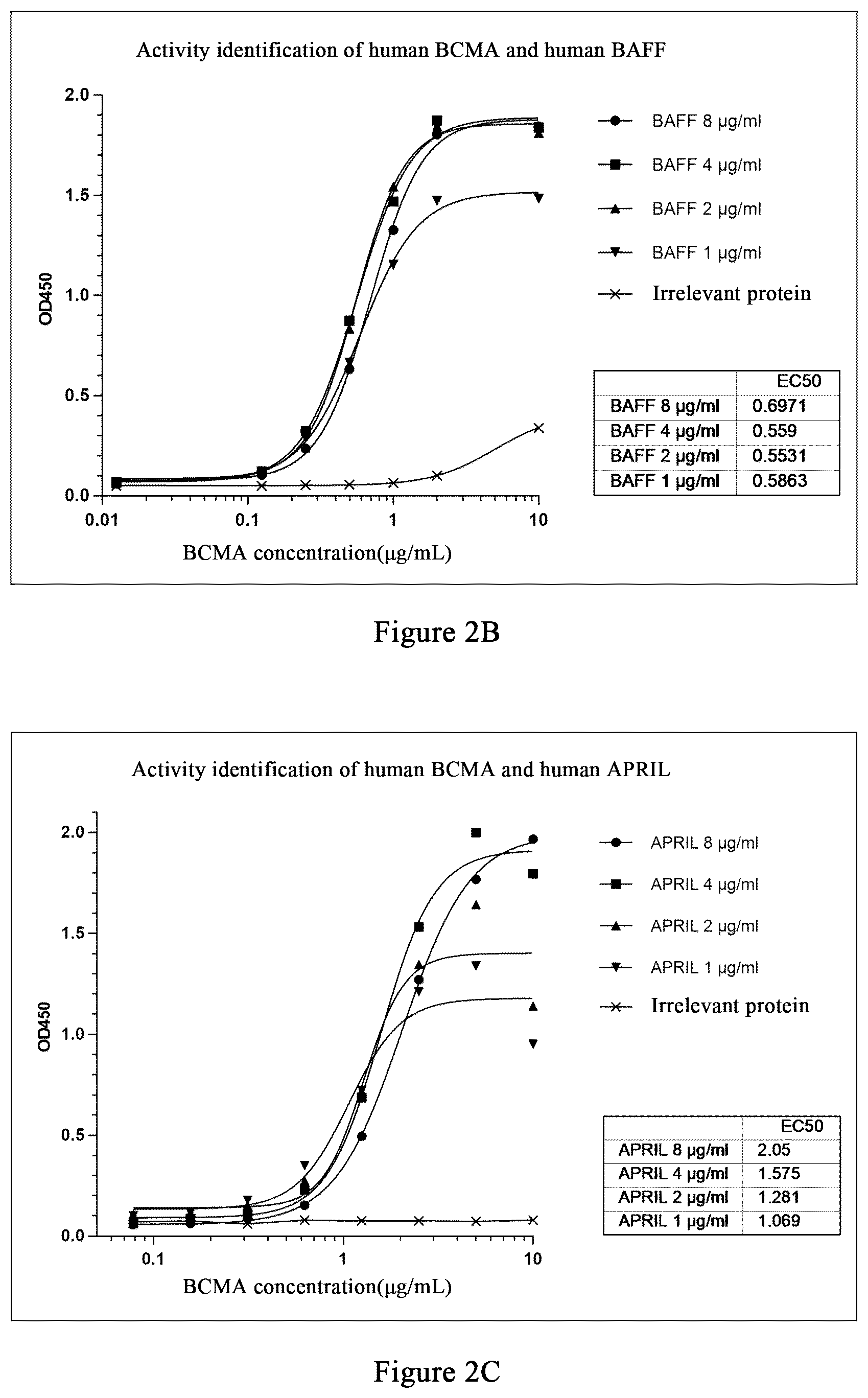 Patent US12479922 Figure 2 – Humanized monoclonal antibody targeting BCMA and having human monkey cross-reactivity