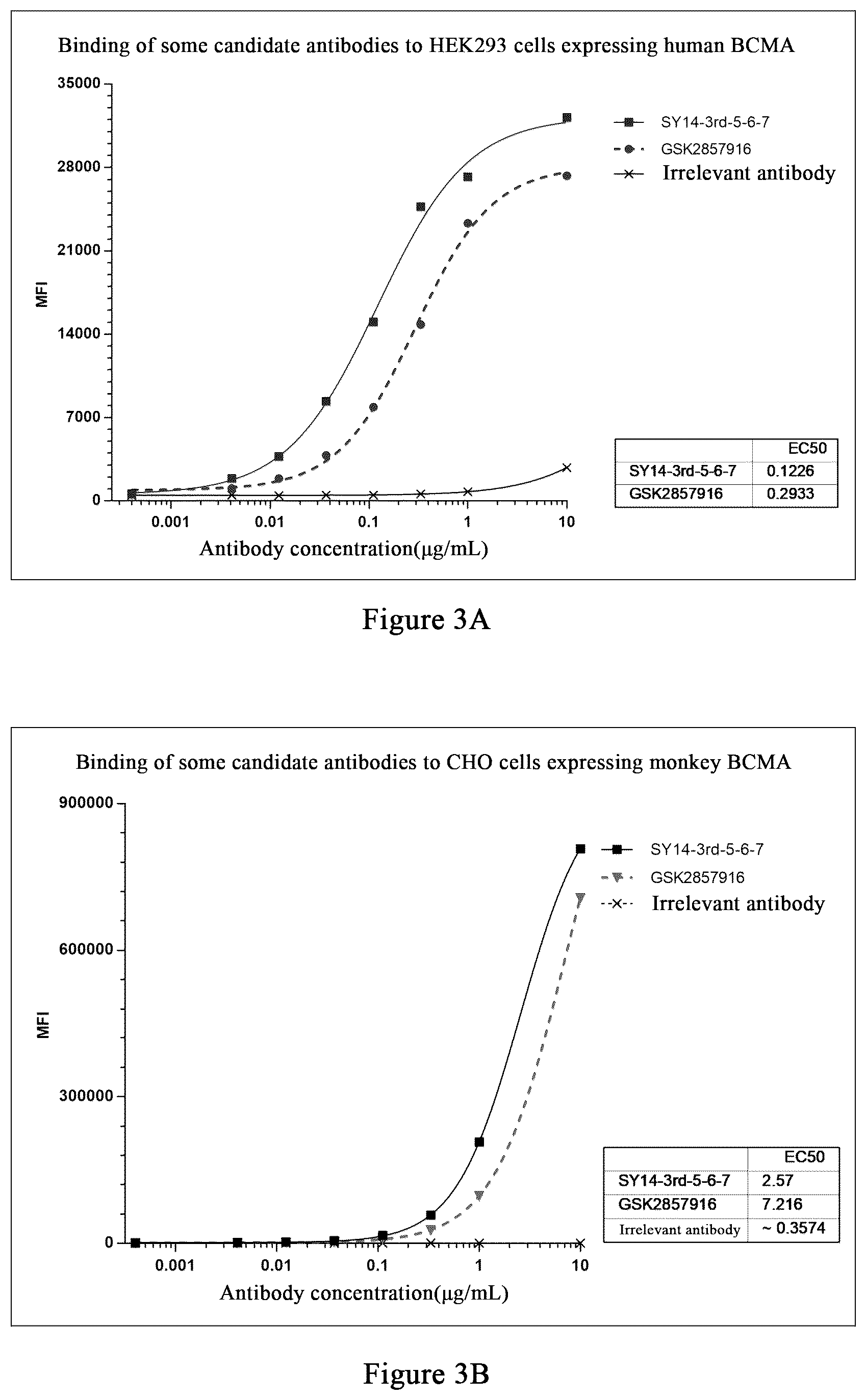 Patent US12479922 Figure 3 – Humanized monoclonal antibody targeting BCMA and having human monkey cross-reactivity