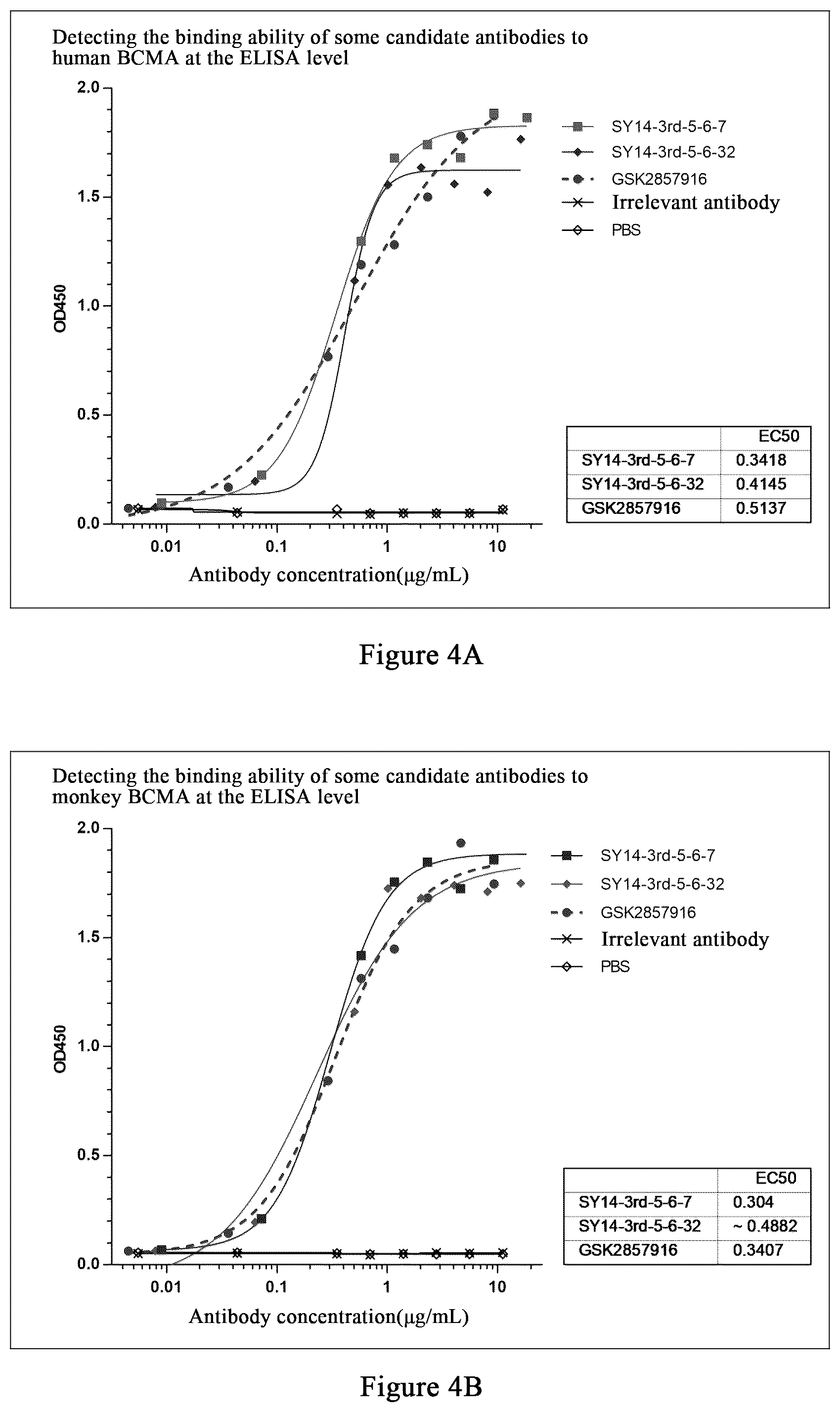 Patent US12479922 Figure 4 – Humanized monoclonal antibody targeting BCMA and having human monkey cross-reactivity
