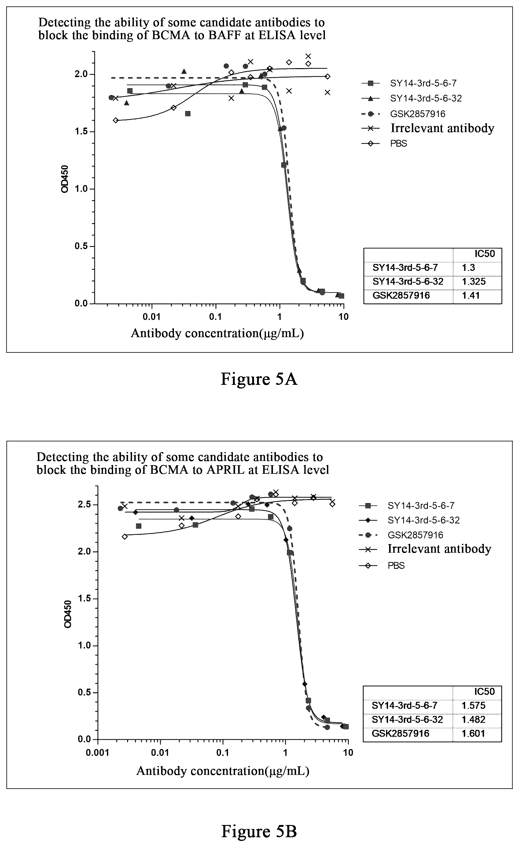Patent US12479922 Figure 5 – Humanized monoclonal antibody targeting BCMA and having human monkey cross-reactivity
