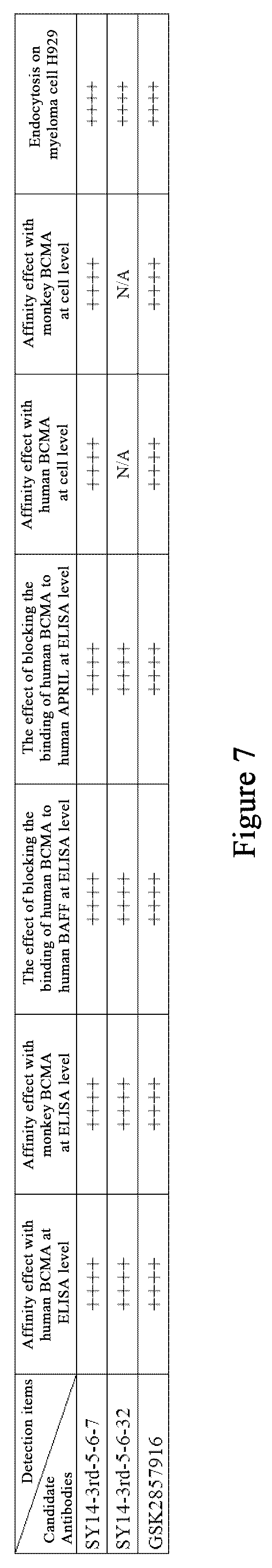 Patent US12479922 Figure 7 – Humanized monoclonal antibody targeting BCMA and having human monkey cross-reactivity