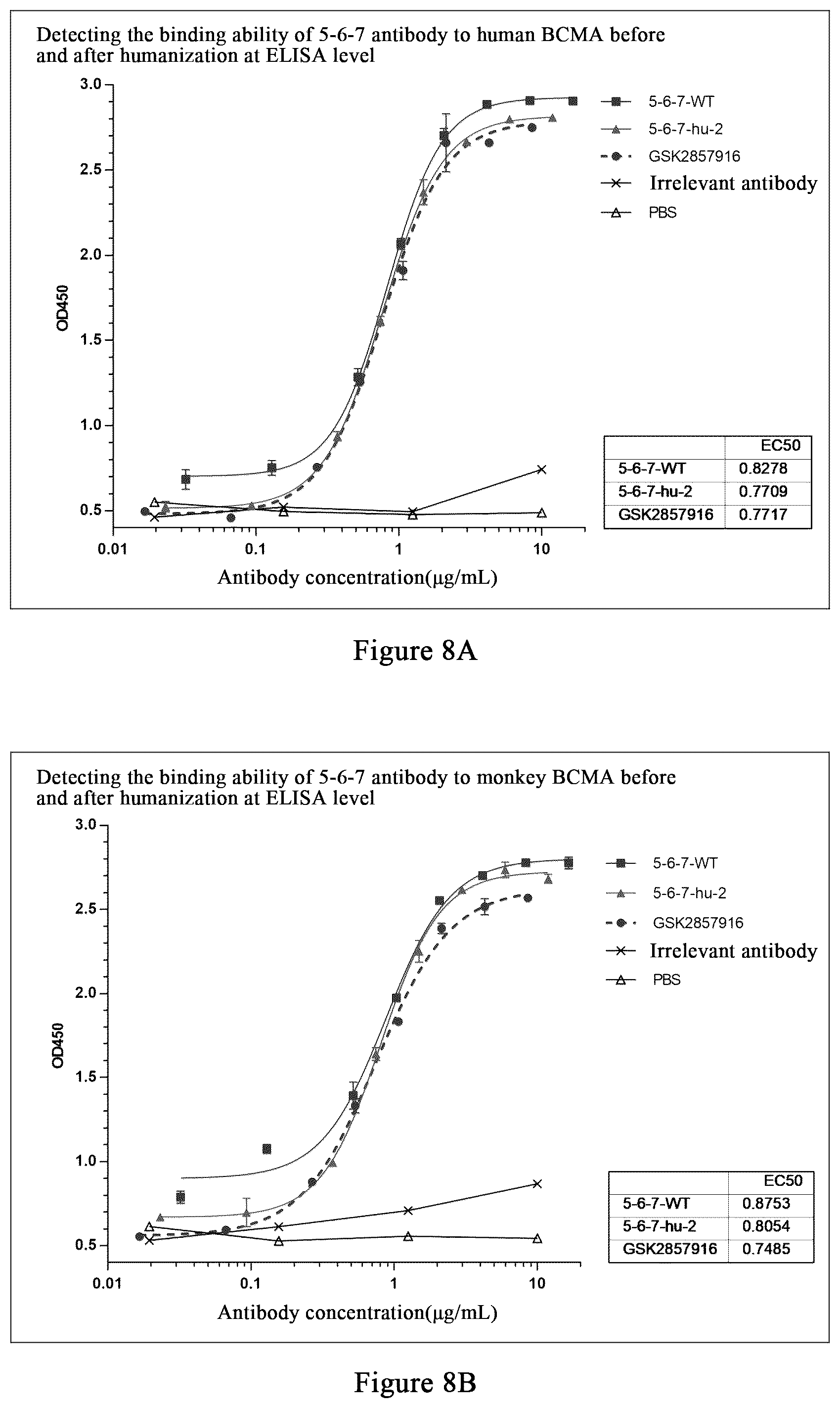 Patent US12479922 Figure 8 – Humanized monoclonal antibody targeting BCMA and having human monkey cross-reactivity