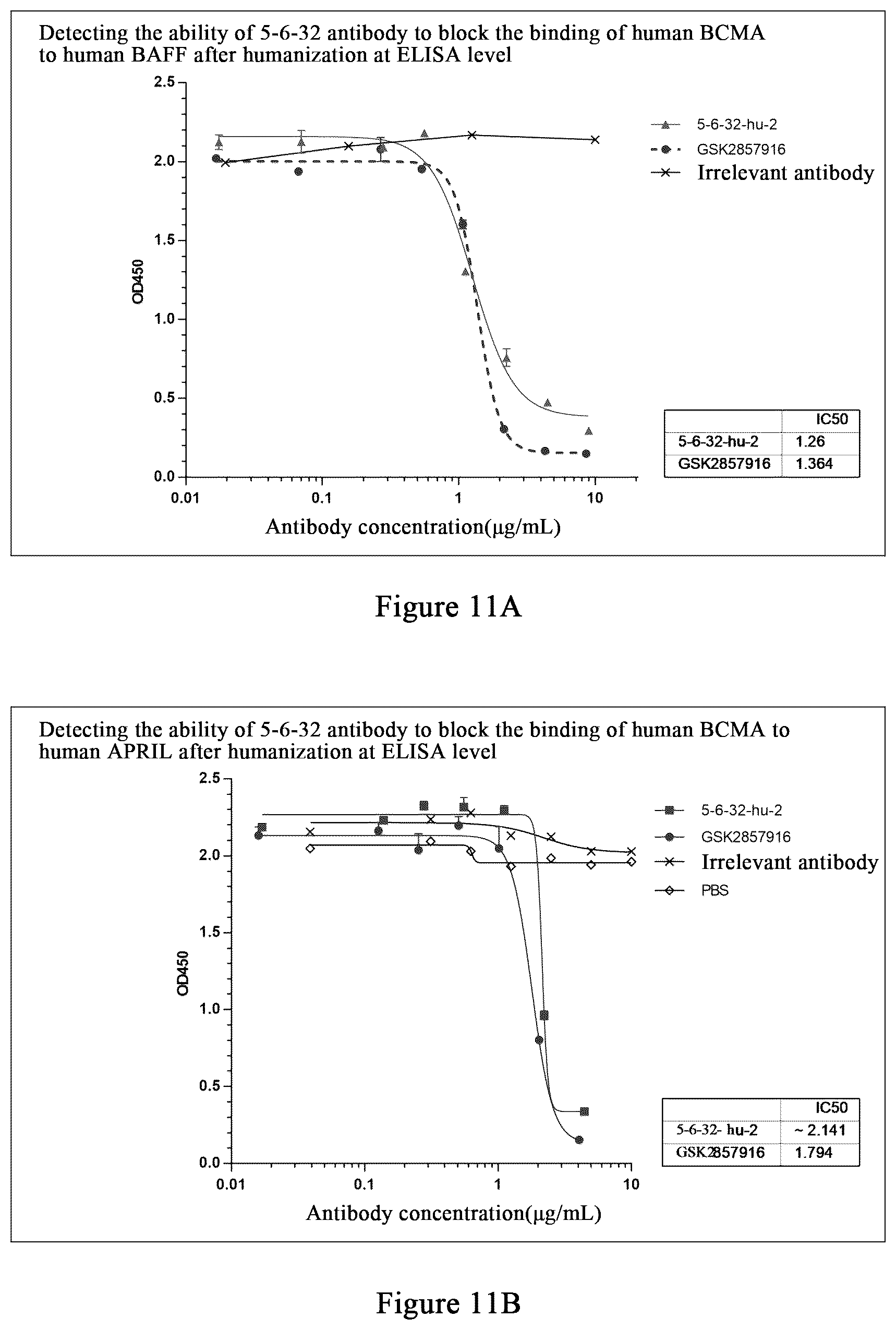 Patent US12479922 Figure 11 – Humanized monoclonal antibody targeting BCMA and having human monkey cross-reactivity