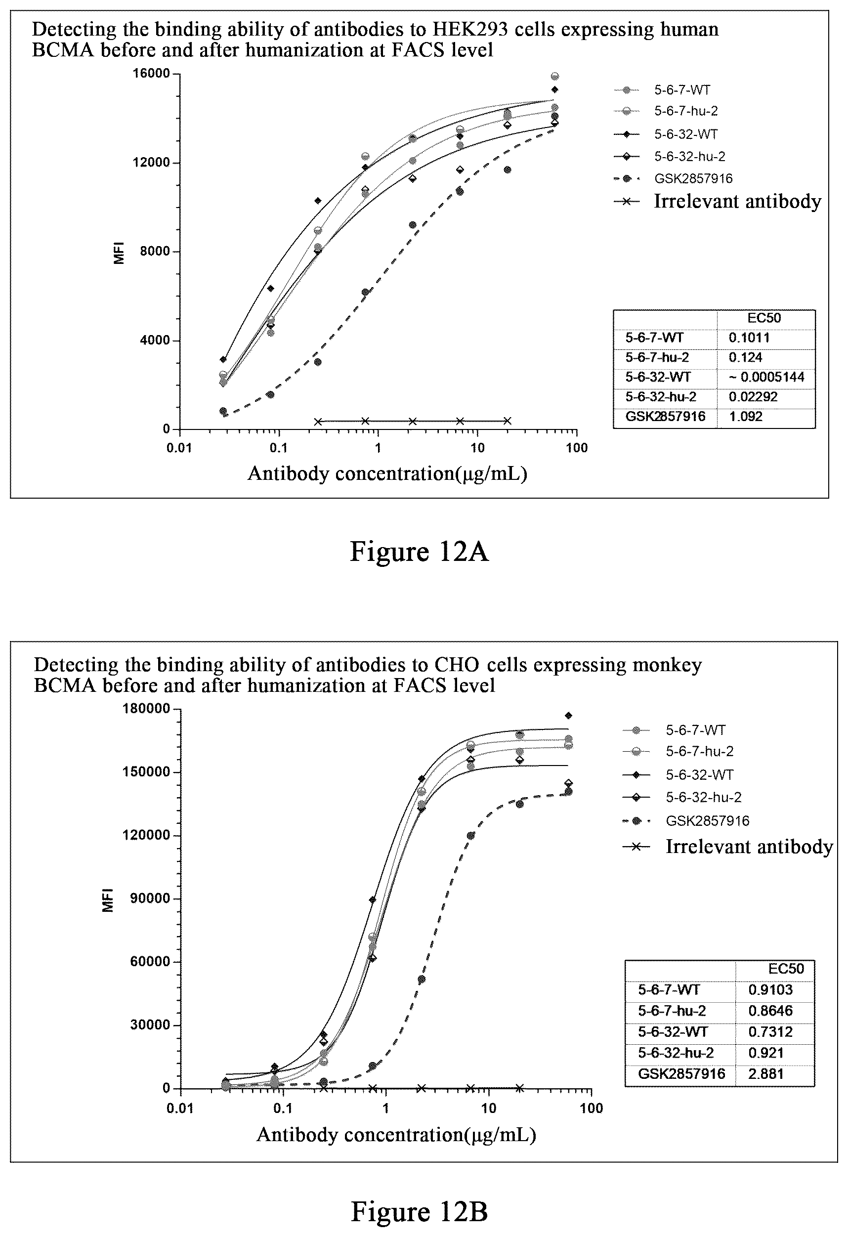 Patent US12479922 Figure 12 – Humanized monoclonal antibody targeting BCMA and having human monkey cross-reactivity