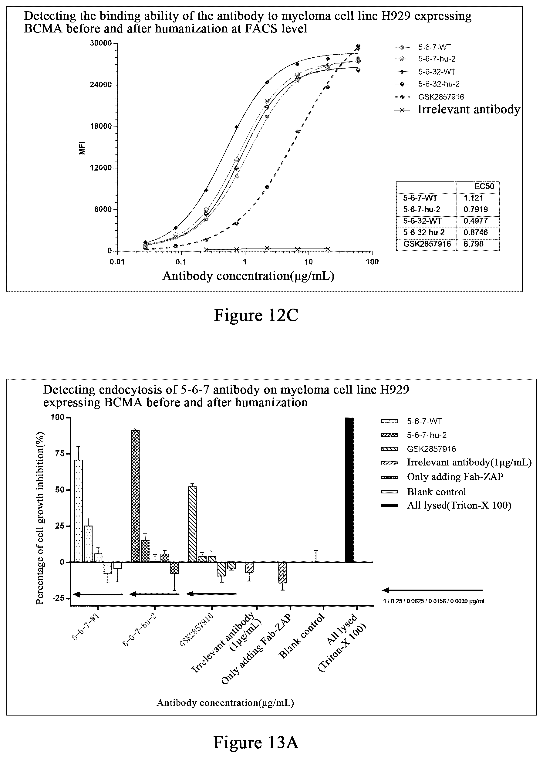 Patent US12479922 Figure 13 – Humanized monoclonal antibody targeting BCMA and having human monkey cross-reactivity