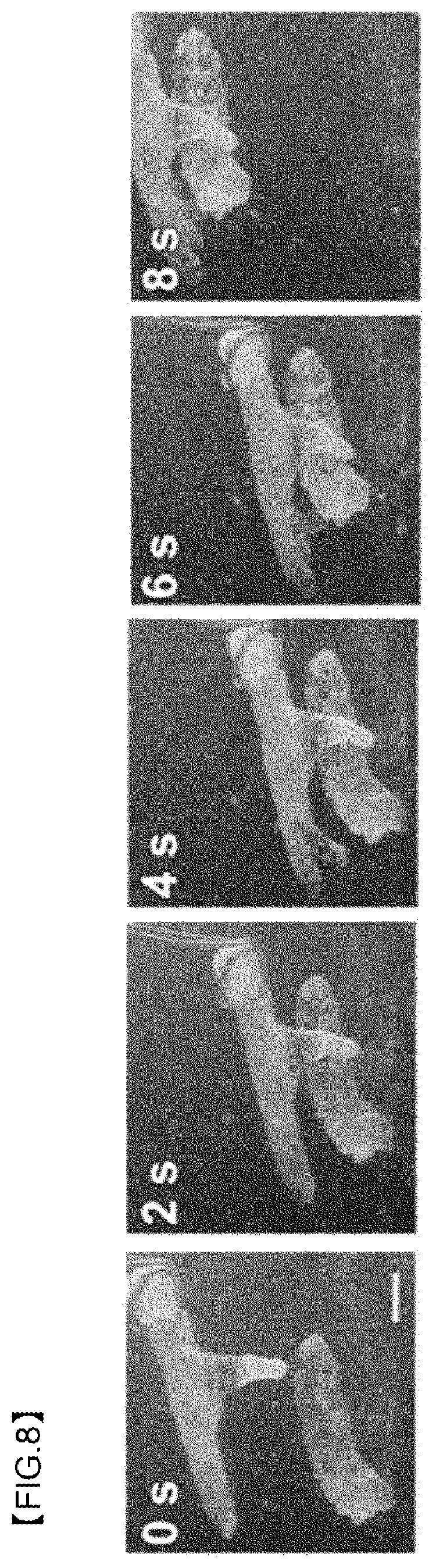 Patent US12479934 Figure 6 – Water responsive soft actuator and driving method thereof