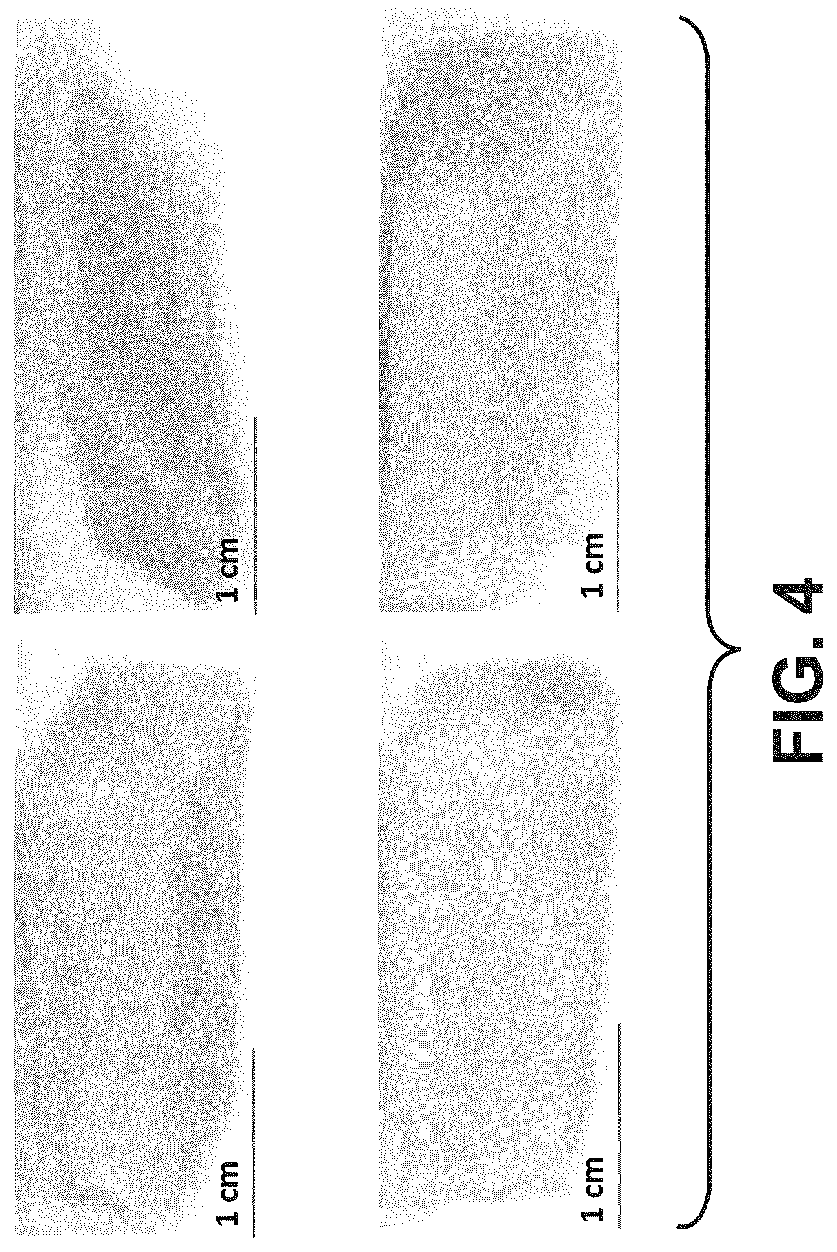 Patent US12479962 Figure 3 – Fractionation of woody biomass using phenol-4-sulfonic acid (PSA)