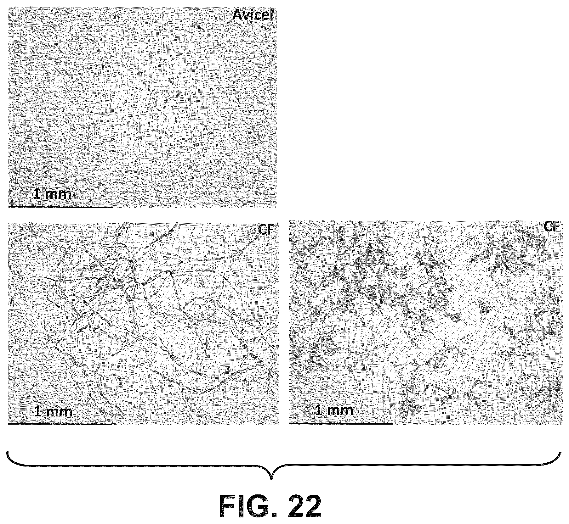 Patent US12479962 Figure 18 – Fractionation of woody biomass using phenol-4-sulfonic acid (PSA)
