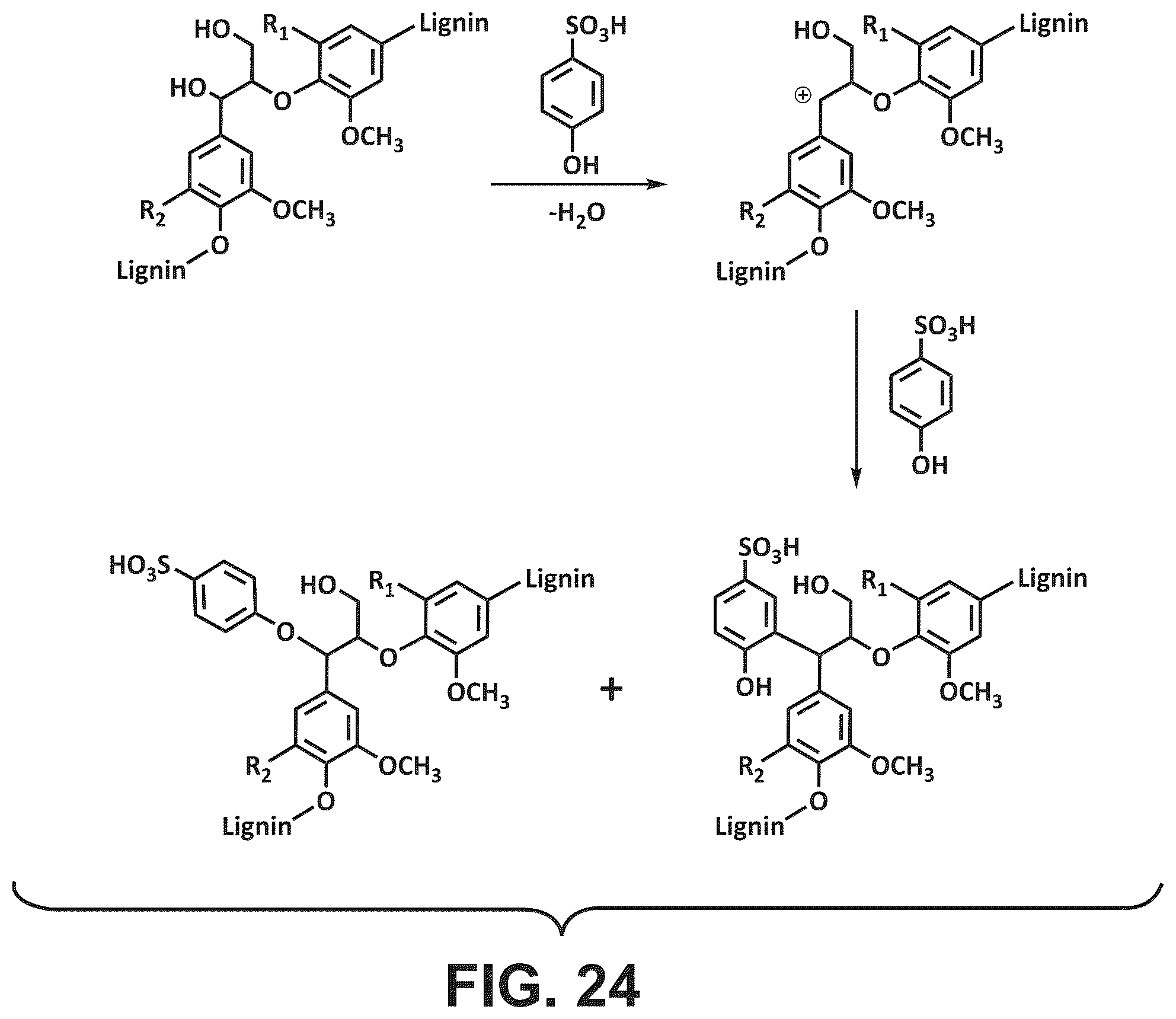 Patent US12479962 Figure 20 – Fractionation of woody biomass using phenol-4-sulfonic acid (PSA)