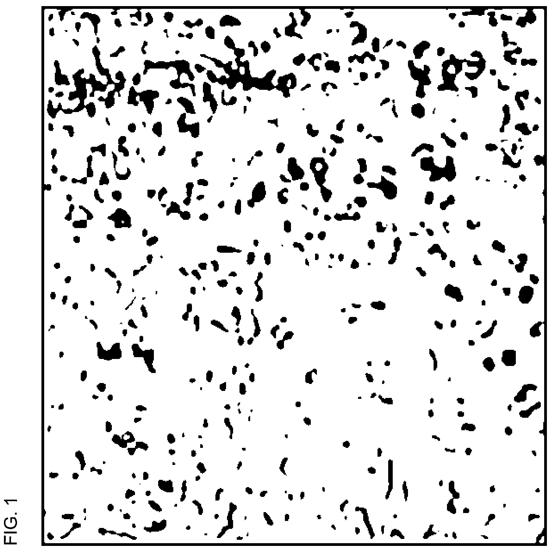 Patent US12479992 Figure 1 – Biaxially oriented polyester film and production method therefor