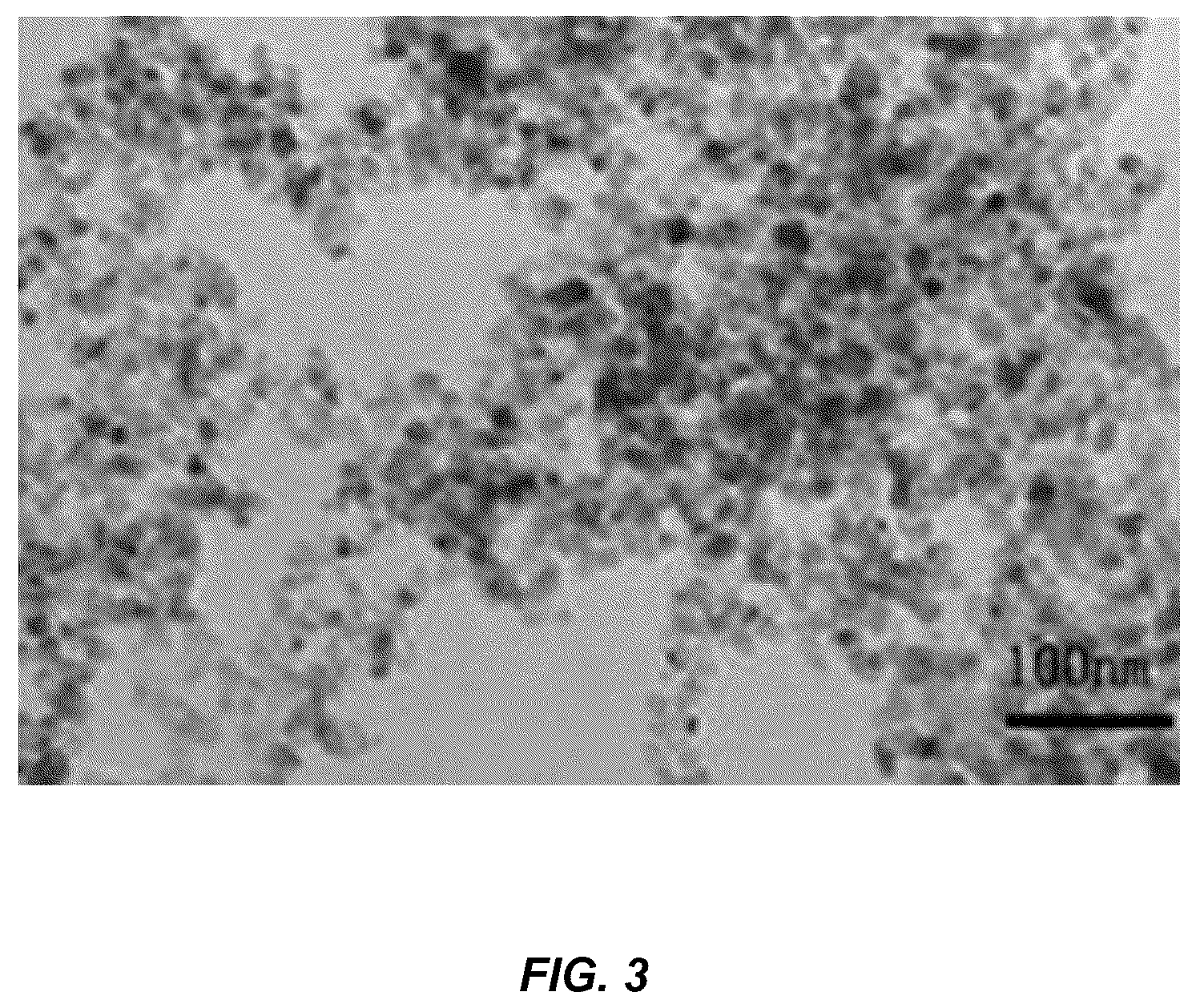 Patent US12480009 Figure 2 – Nanoporous cerium oxide nanoparticle macro-structure