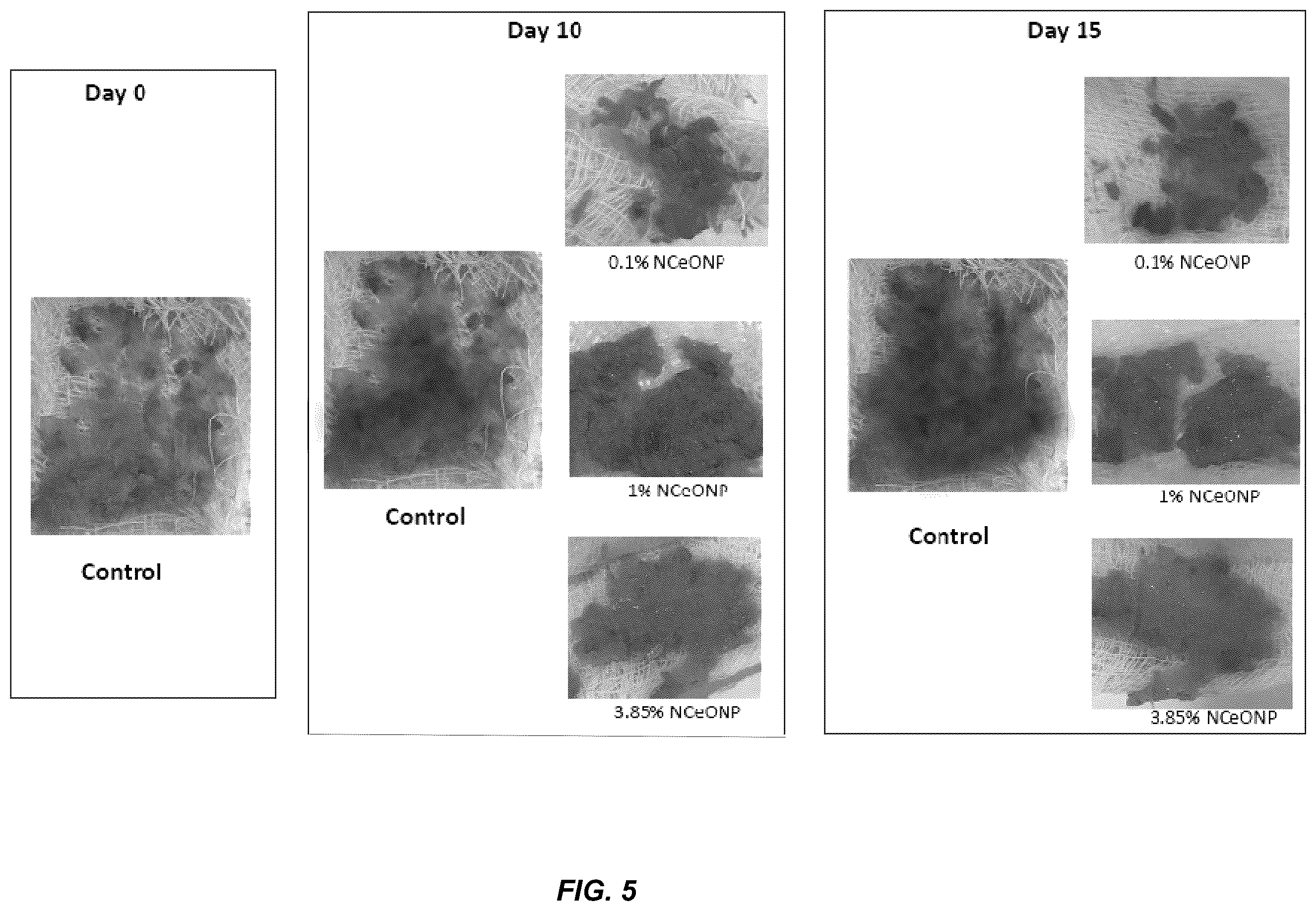 Patent US12480009 Figure 4 – Nanoporous cerium oxide nanoparticle macro-structure