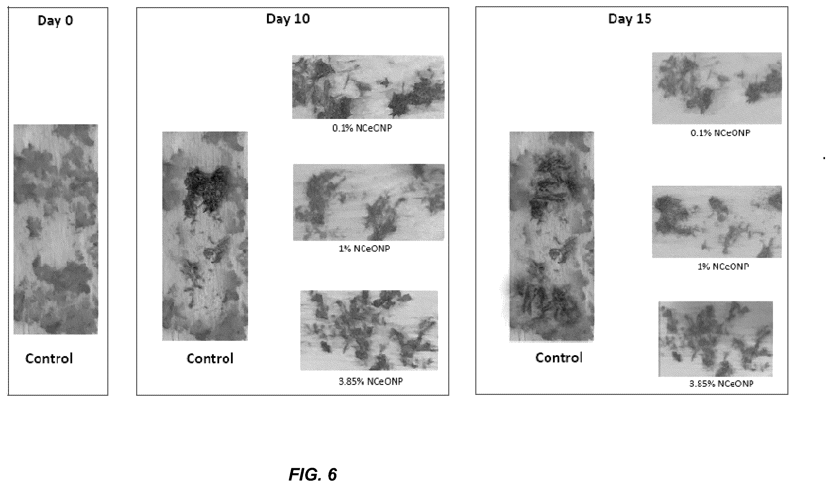 Patent US12480009 Figure 5 – Nanoporous cerium oxide nanoparticle macro-structure