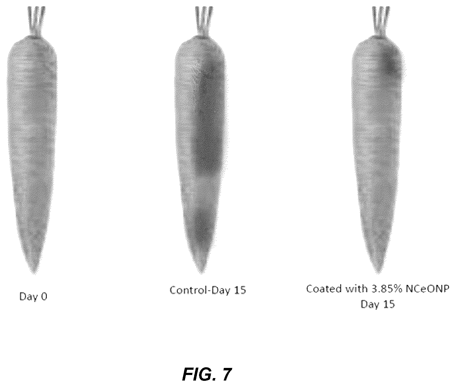 Patent US12480009 Figure 6 – Nanoporous cerium oxide nanoparticle macro-structure