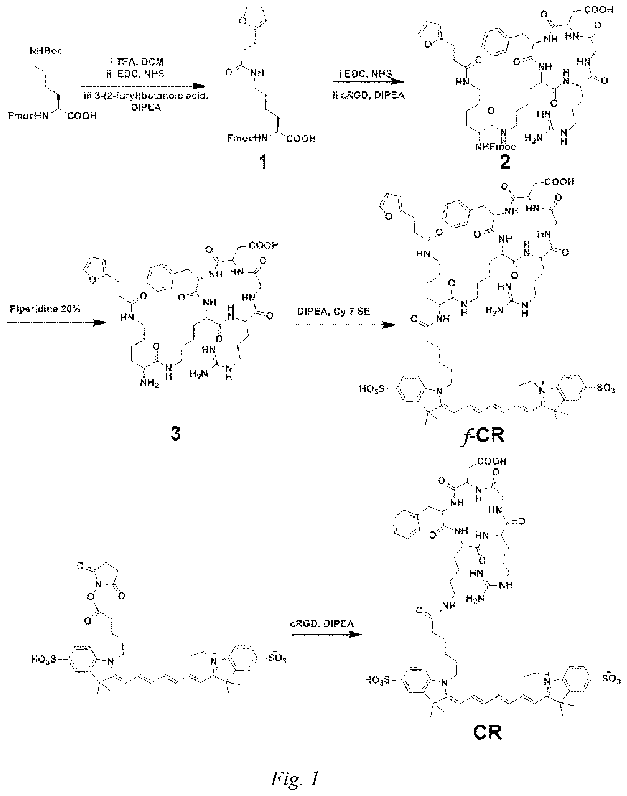 Patent US12480043 — Red-light-mediated nucleic acid anchoring-type fluorescent probe, and preparation method therefor and use thereof — Figure 1