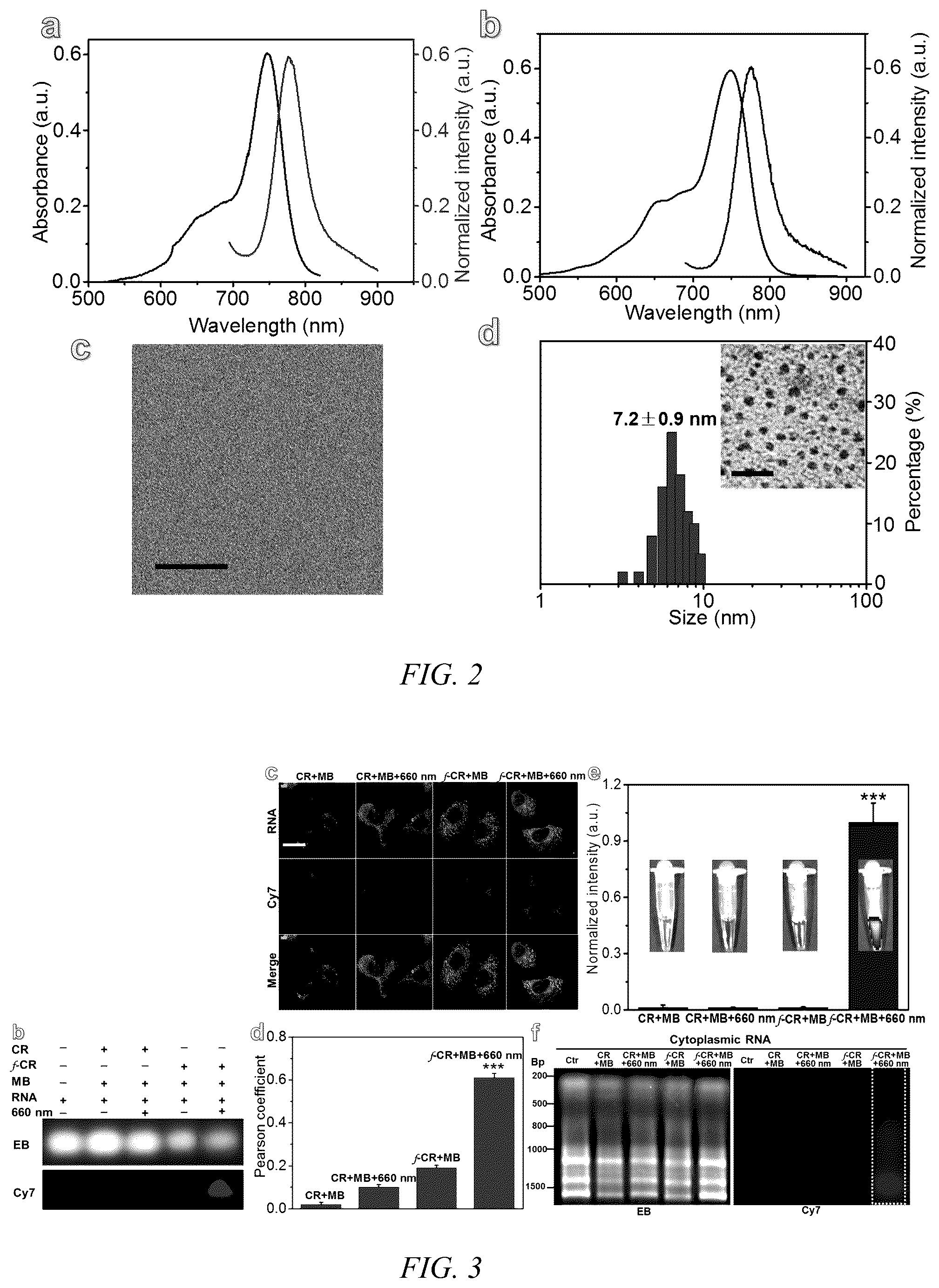 Patent US12480043 Figure 2 – Red-light-mediated nucleic acid anchoring-type fluorescent probe, and preparation method therefor and use thereof