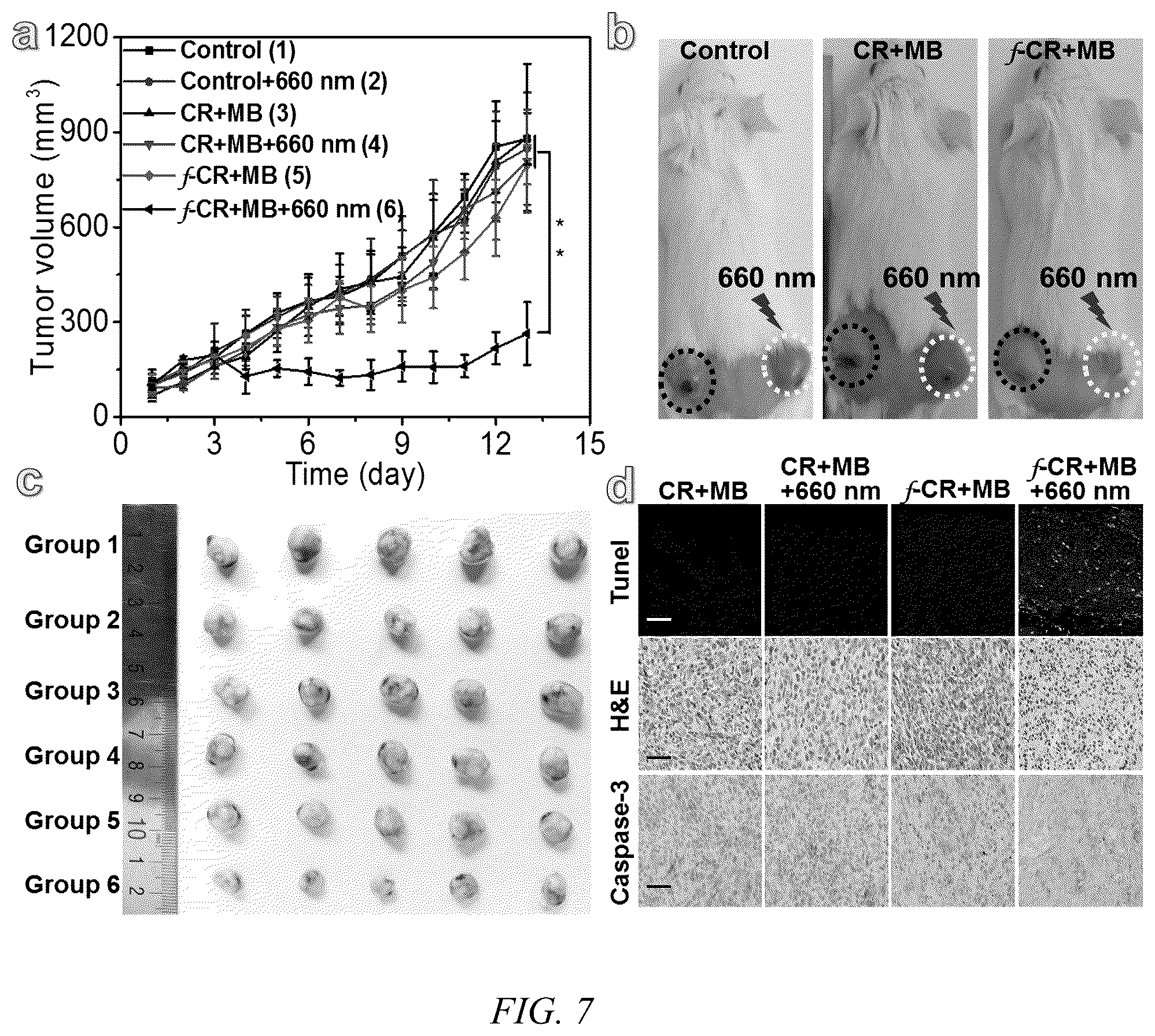 Patent US12480043 Figure 6 – Red-light-mediated nucleic acid anchoring-type fluorescent probe, and preparation method therefor and use thereof