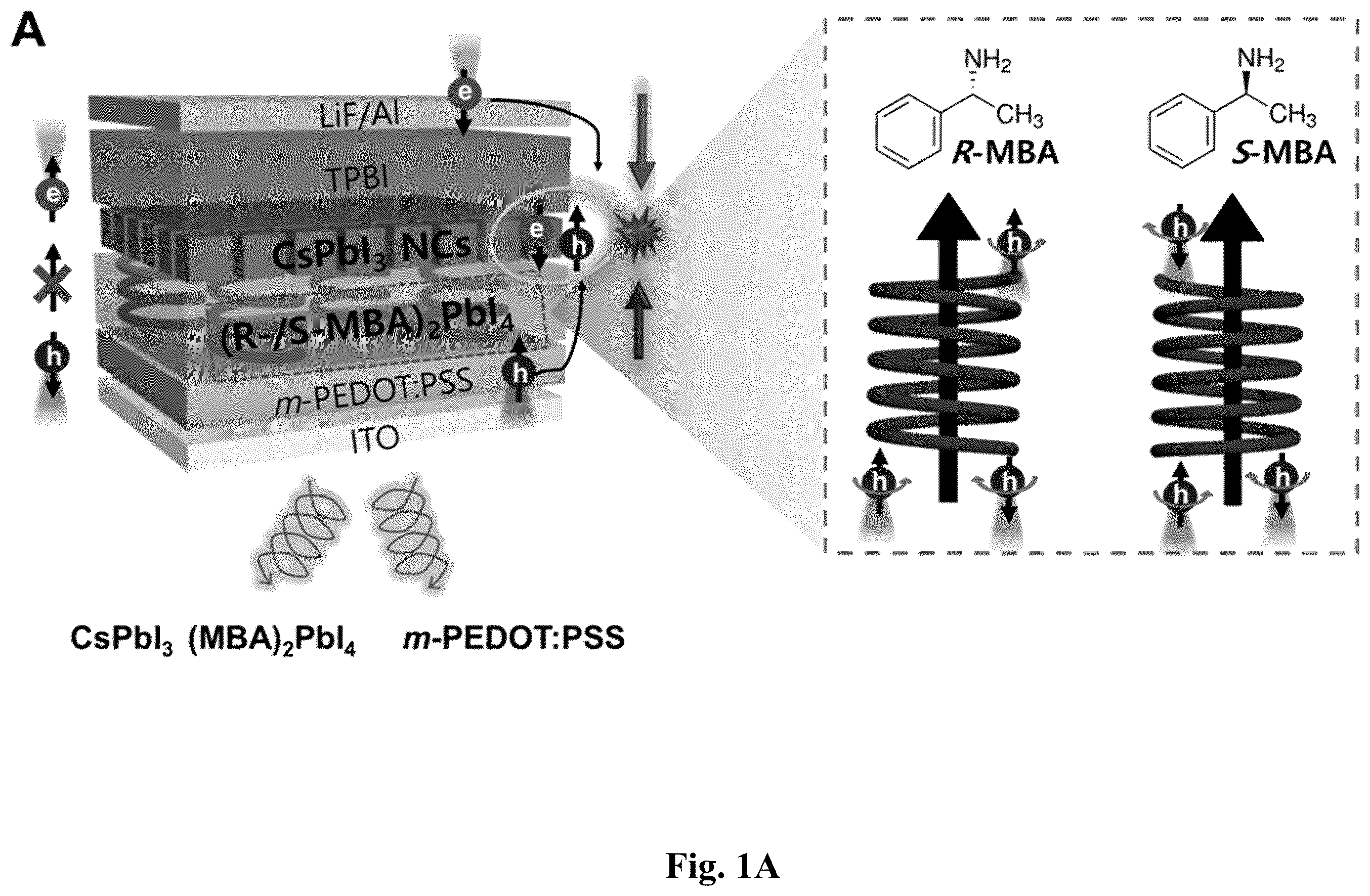 Patent US12480045 Figure 1 – Chiral induced spin selectivity enabling a room temperature spin polarized light emitting diode