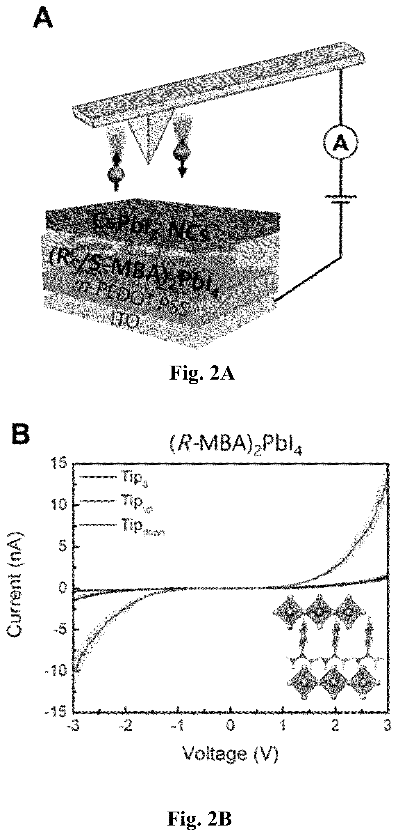 Patent US12480045 Figure 3 – Chiral induced spin selectivity enabling a room temperature spin polarized light emitting diode