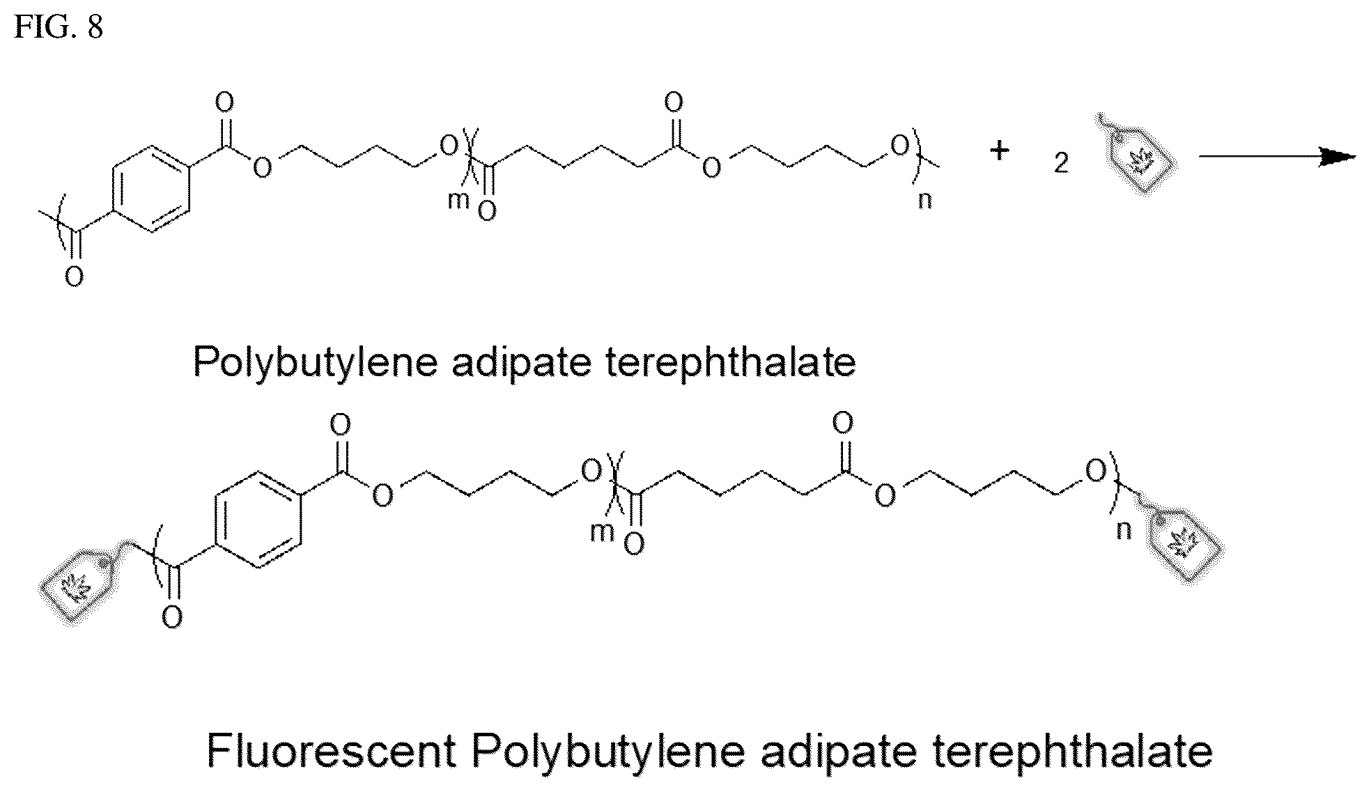 Patent US12480074 Figure 4 – Natural and synthetic cannabinoids as fluorescent tags; compositions, methods, and applications