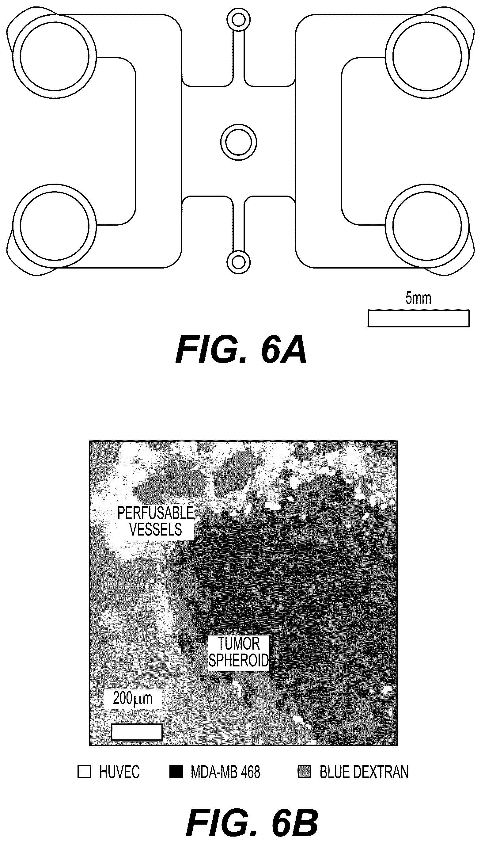 Patent US12480079 Figure 11 – Fluidic platforms for perfusable vascularized tissues with infiltrates