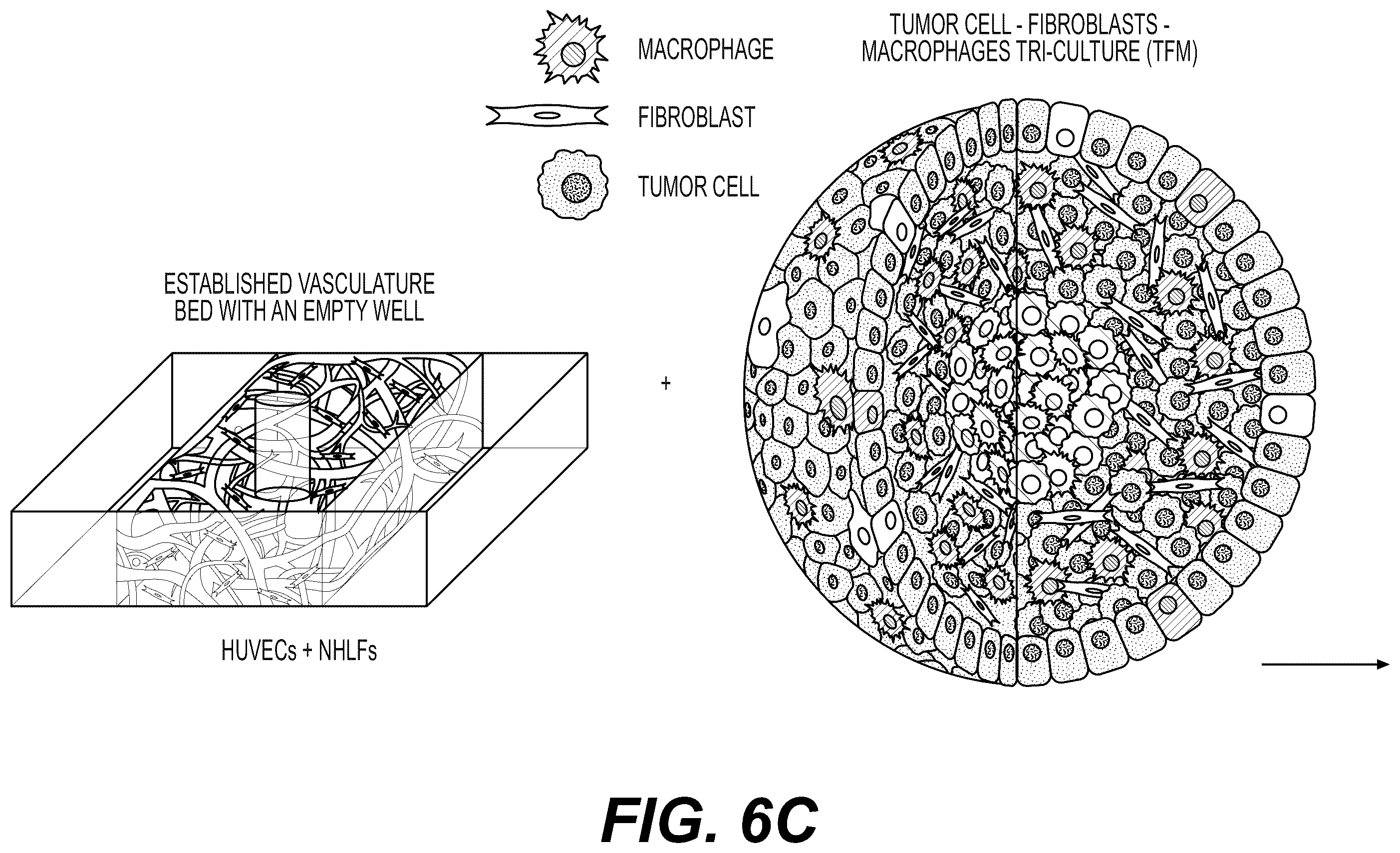 Patent US12480079 Figure 12 – Fluidic platforms for perfusable vascularized tissues with infiltrates