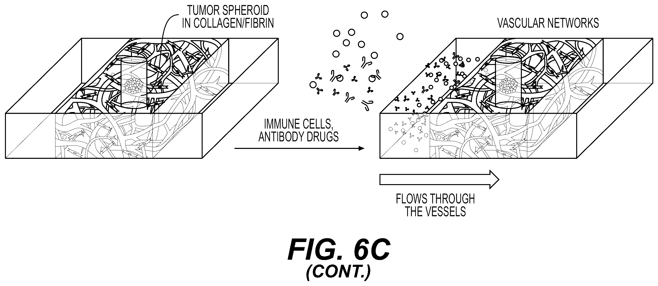 Patent US12480079 Figure 13 – Fluidic platforms for perfusable vascularized tissues with infiltrates