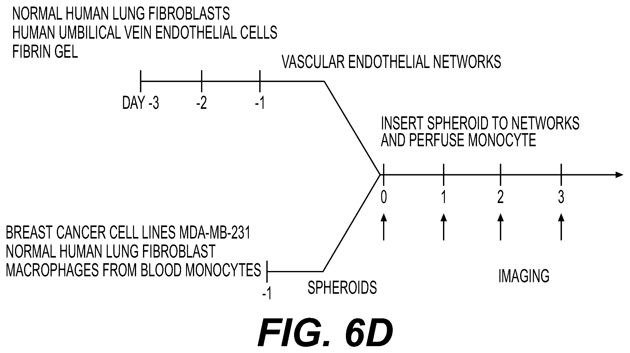 Patent US12480079 Figure 14 – Fluidic platforms for perfusable vascularized tissues with infiltrates