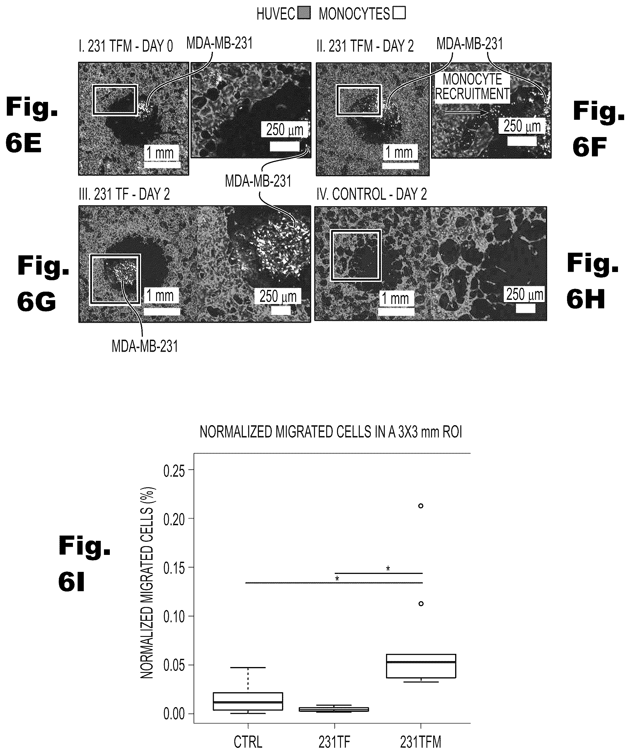 Patent US12480079 Figure 15 – Fluidic platforms for perfusable vascularized tissues with infiltrates
