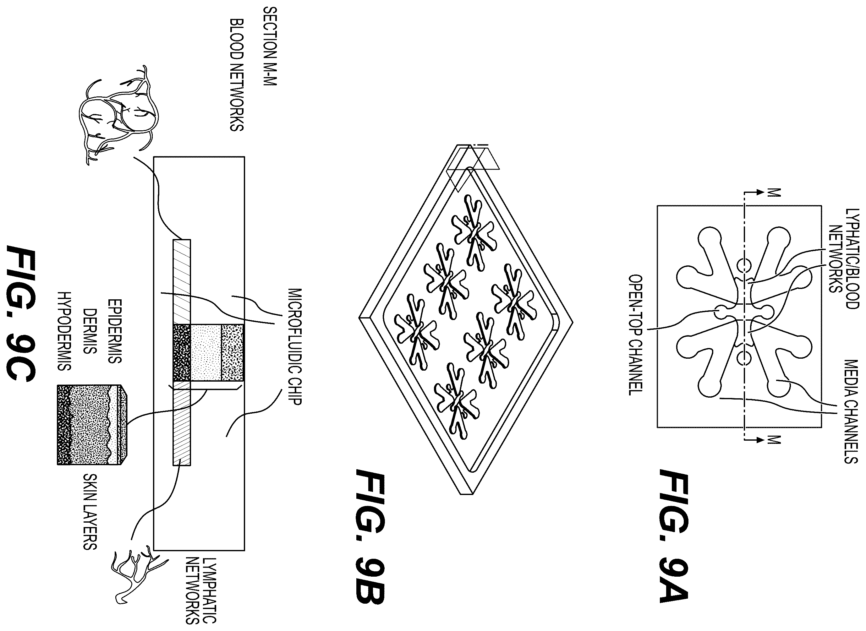 Patent US12480079 Figure 19 – Fluidic platforms for perfusable vascularized tissues with infiltrates