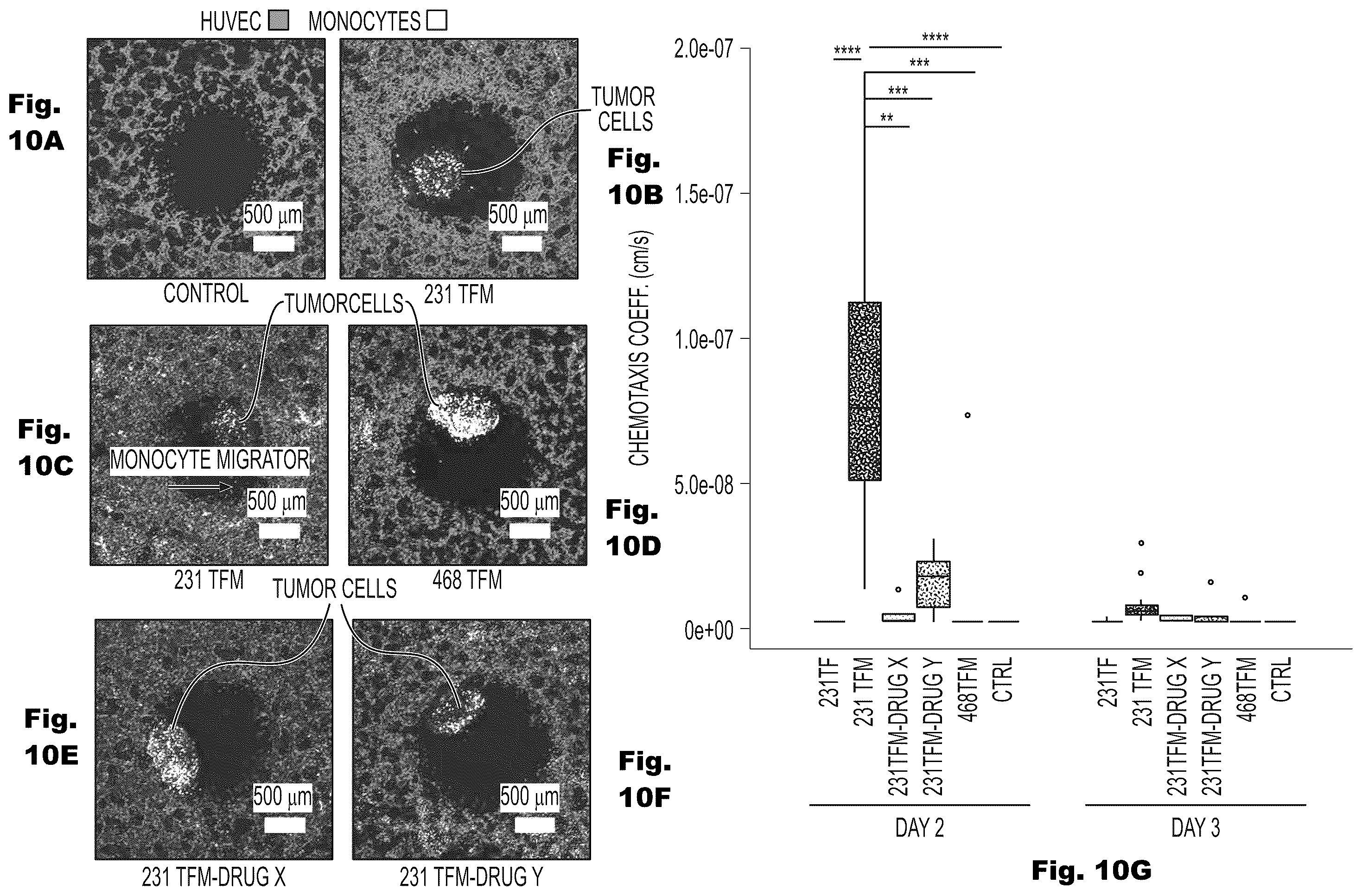 Patent US12480079 Figure 20 – Fluidic platforms for perfusable vascularized tissues with infiltrates
